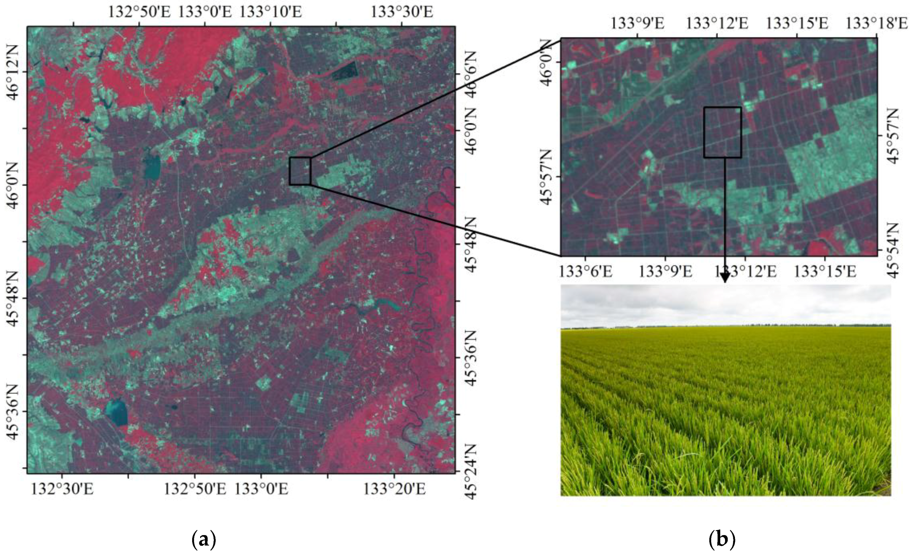 Sensors 18 04452 g012
