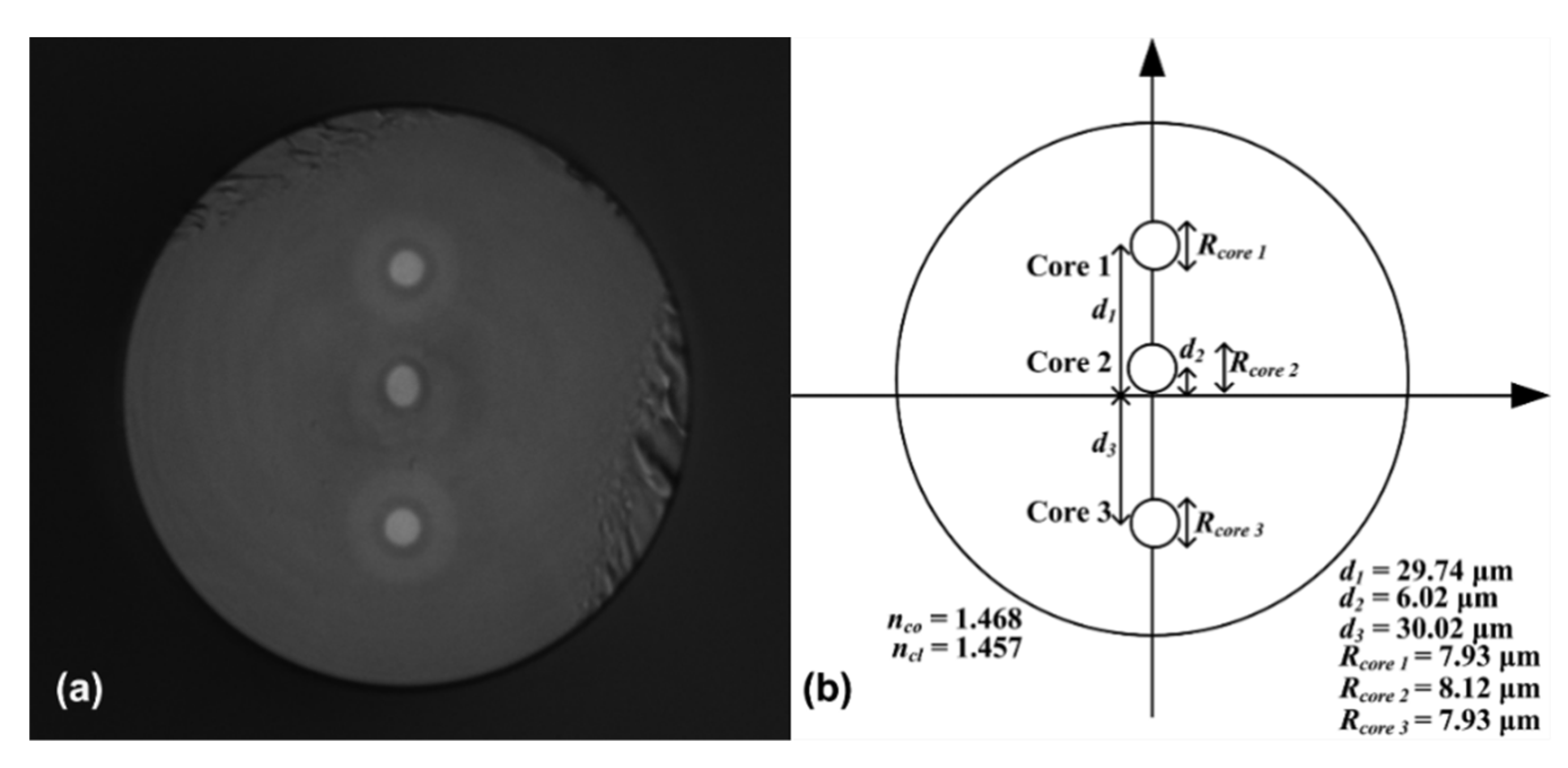 Sensors 19 00205 g002