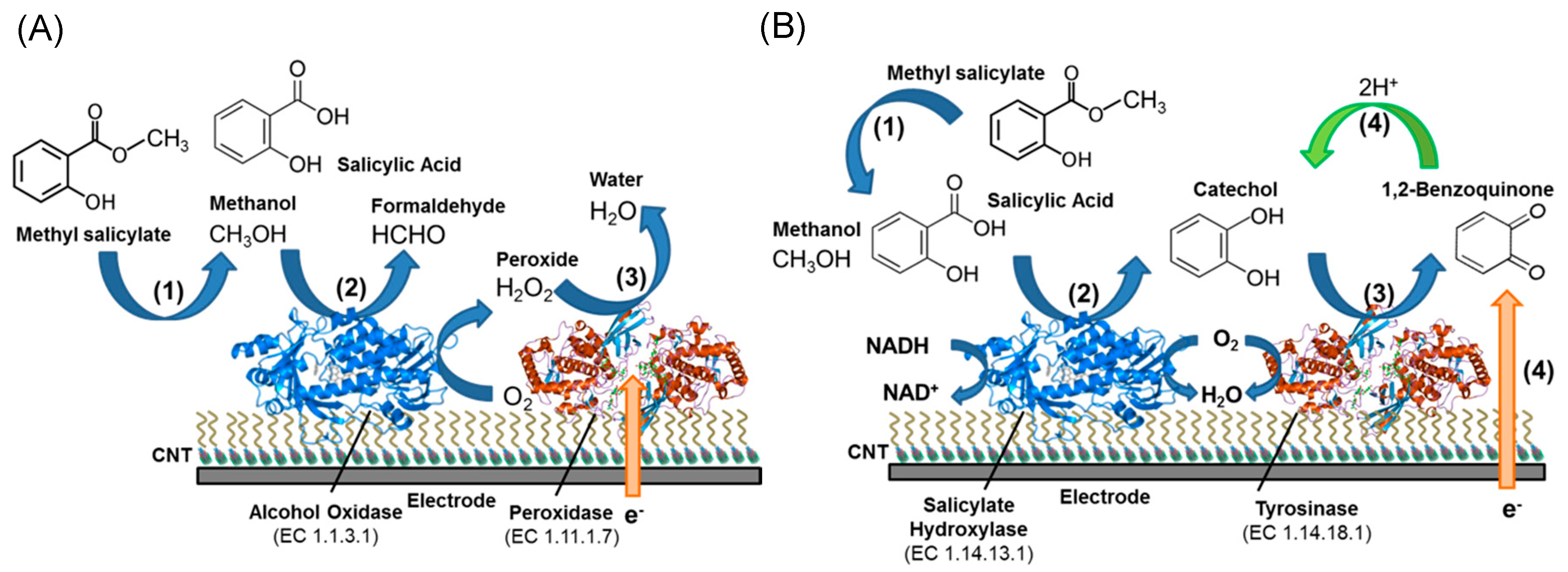 Sensors 19 00392 g013 Sensors 19 00392 g013