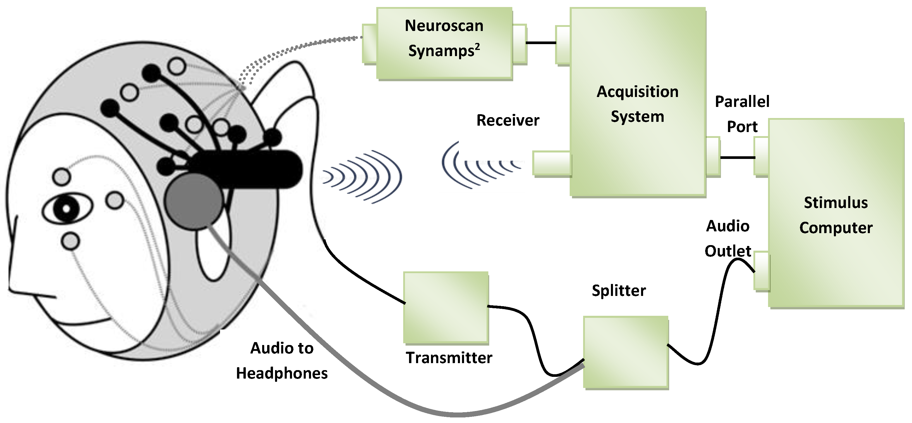 Sensors 19 00460 g005