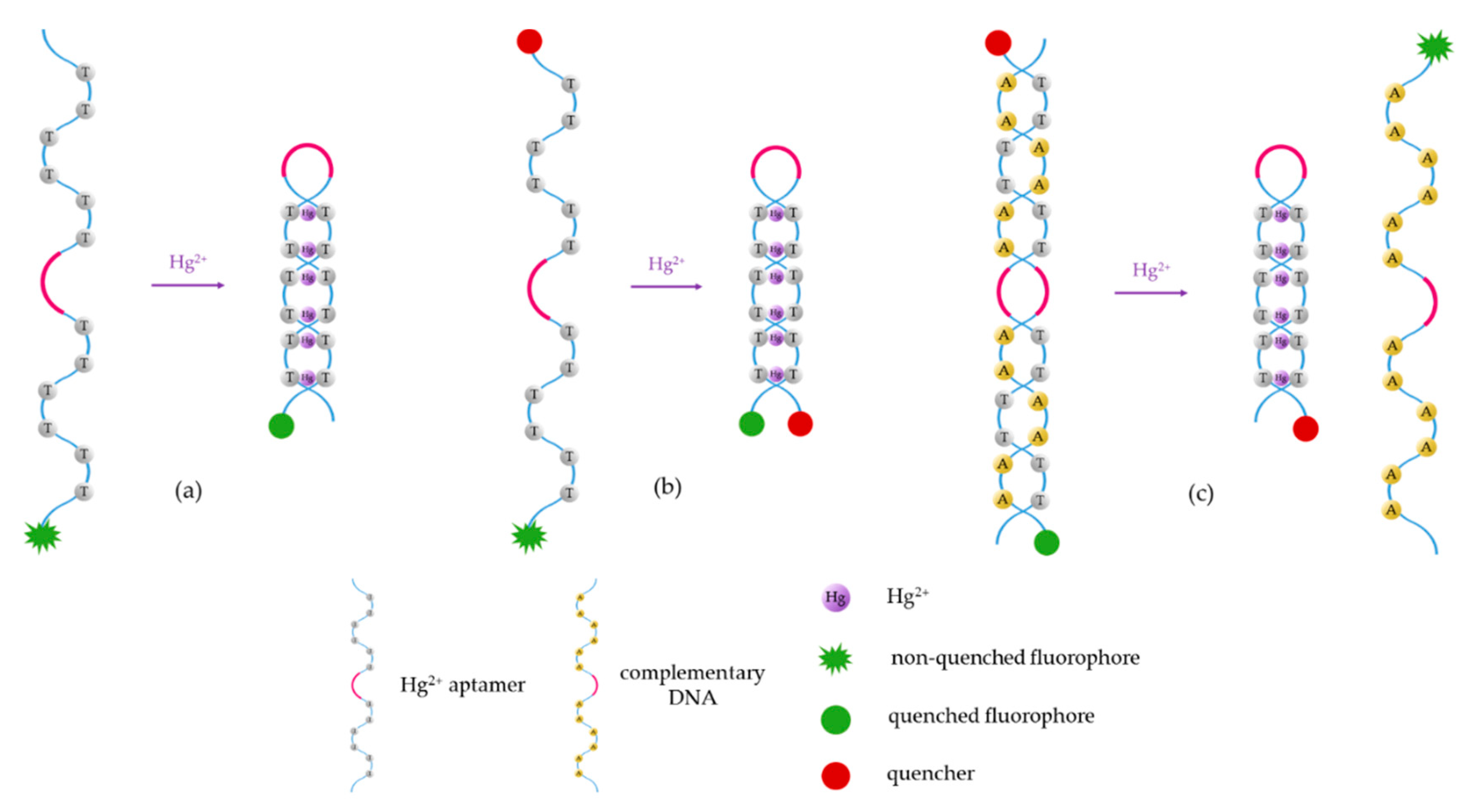 Sensors 19 00599 g003