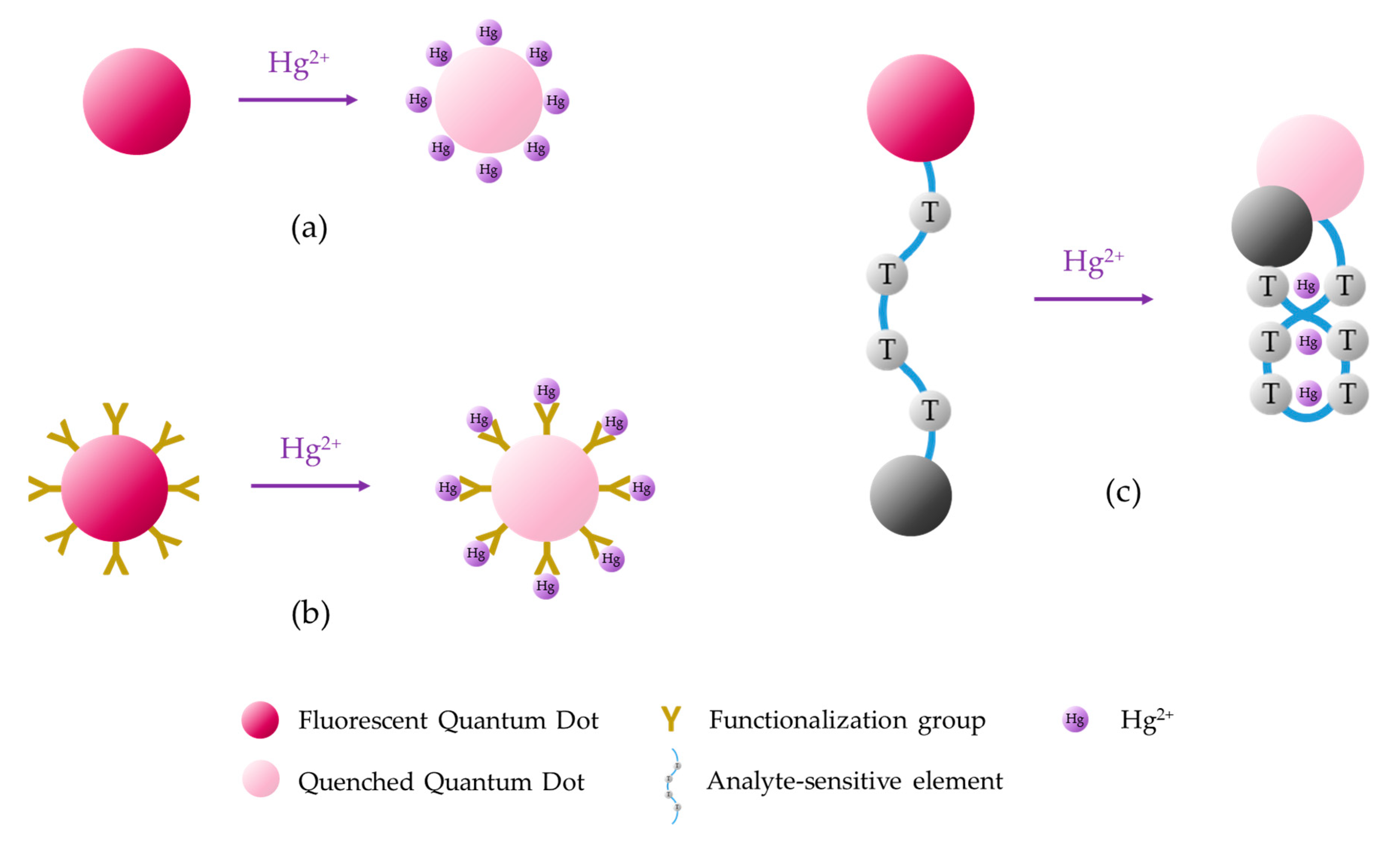 Quantum dot. Quantum Dots application. Quantum Dot э. Графеновая квантовая точка. Quantum Dots Kinetics.