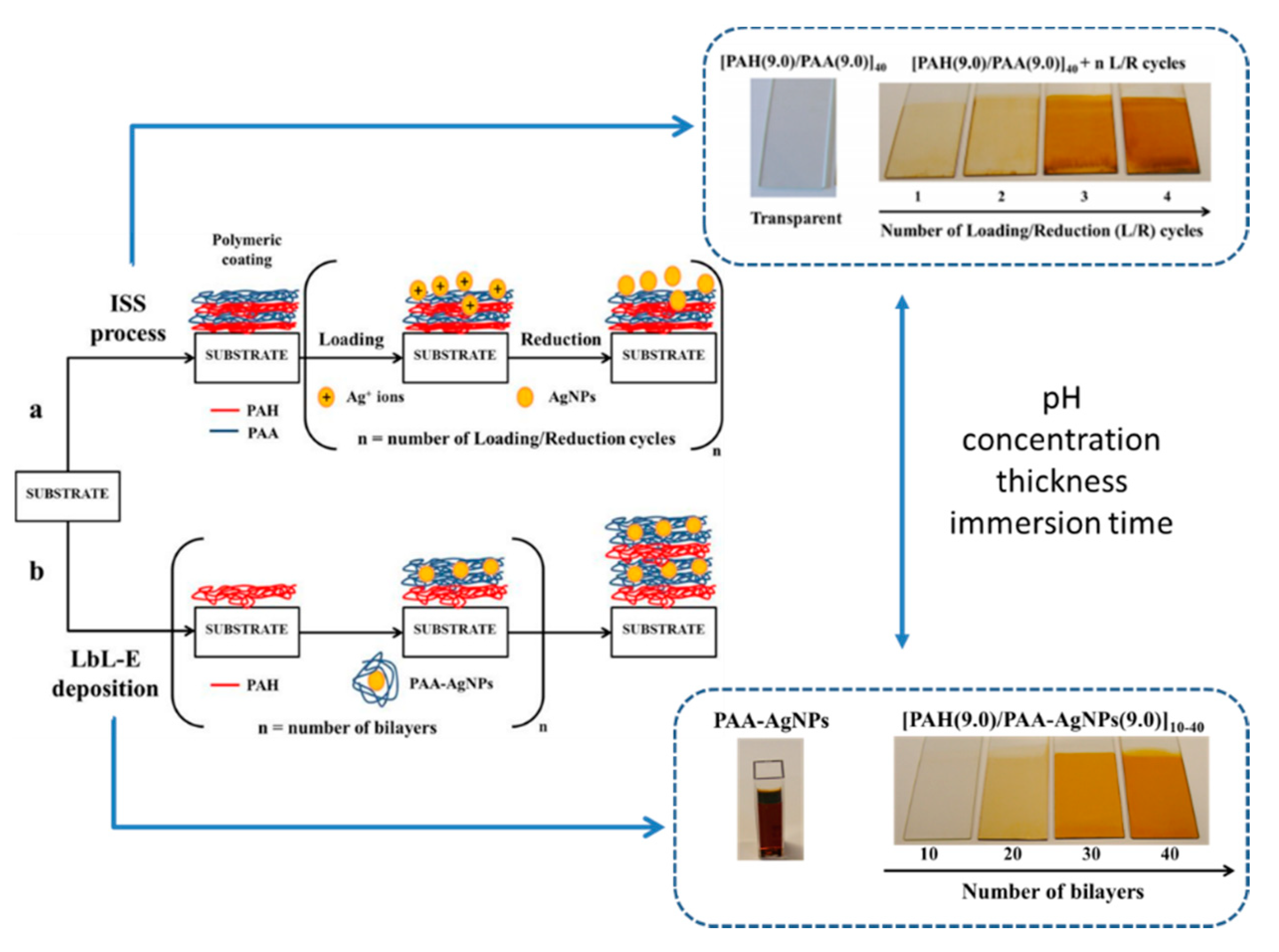 Sensors 19 00683 g005