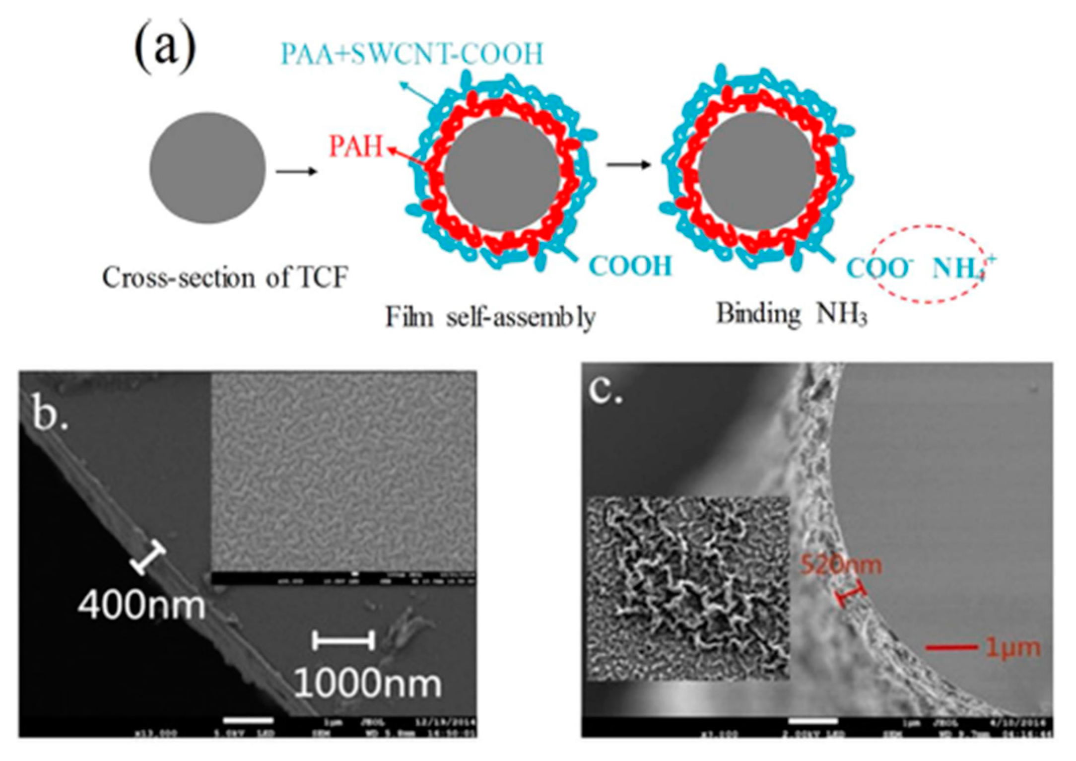 Sensors 19 00683 g017