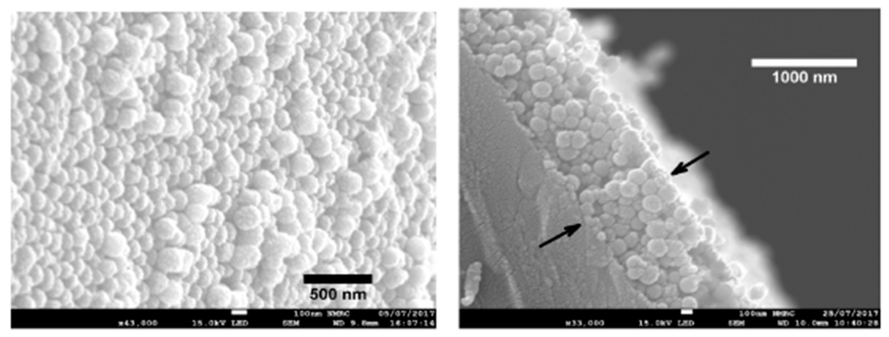 Sensors 19 00683 g021