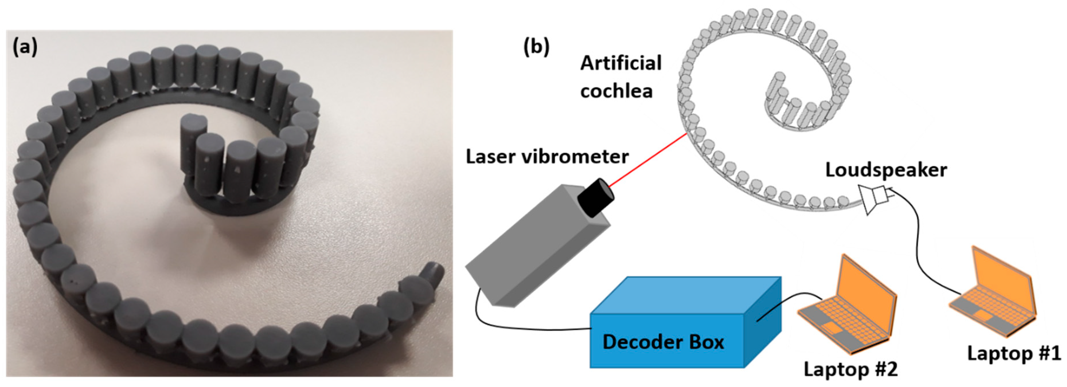 Sensors 19 00788 g005