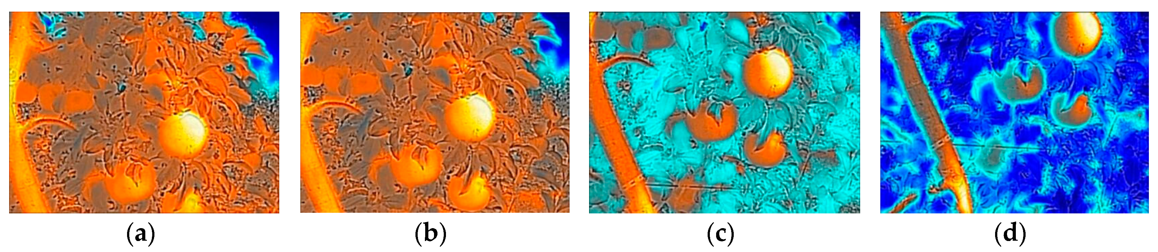 Sensors 19 00949 g003 Sensors 19 00949 g003