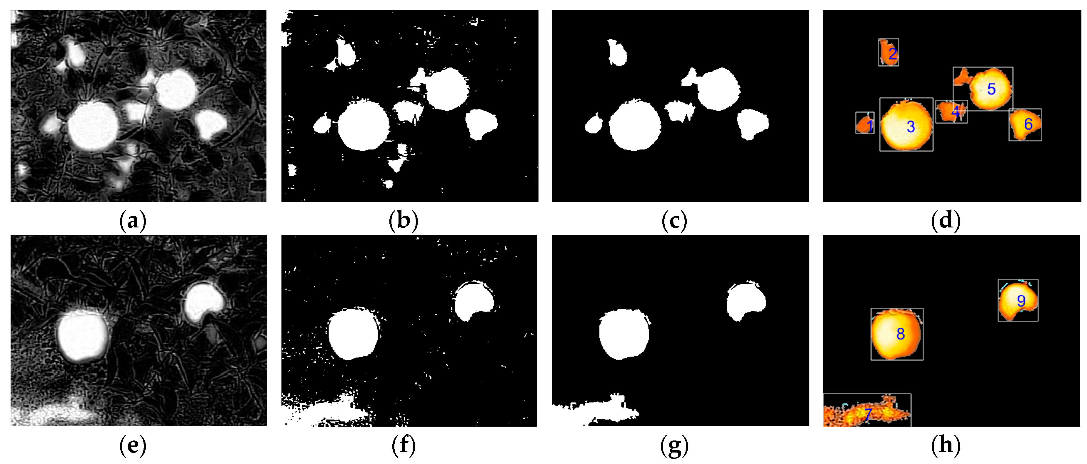 Sensors 19 00949 g007 Sensors 19 00949 g007