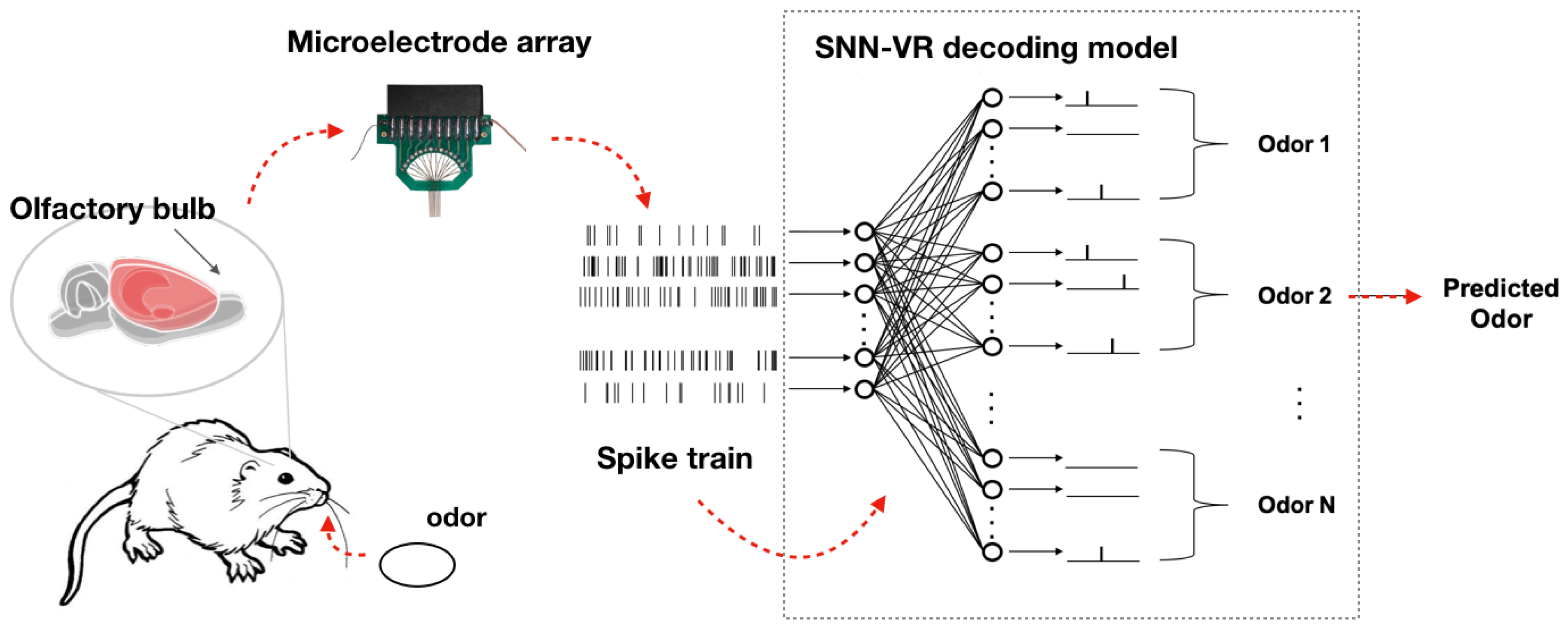 network ping tool free