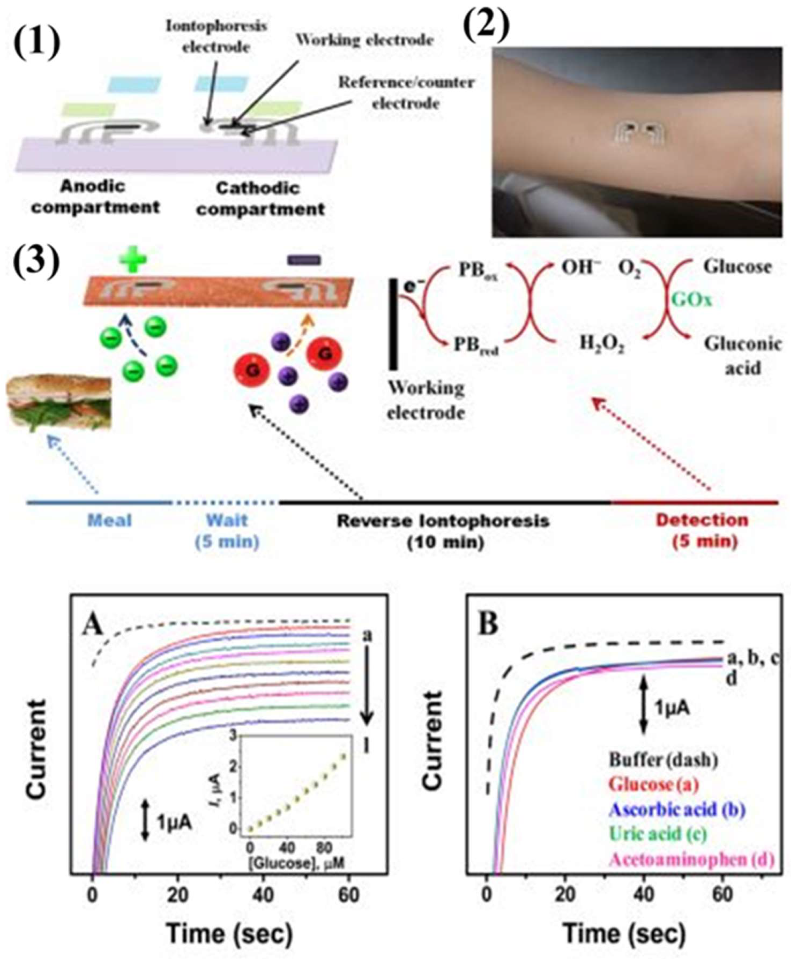 Sensors 19 01028 g006 Sensors 19 01028 g006