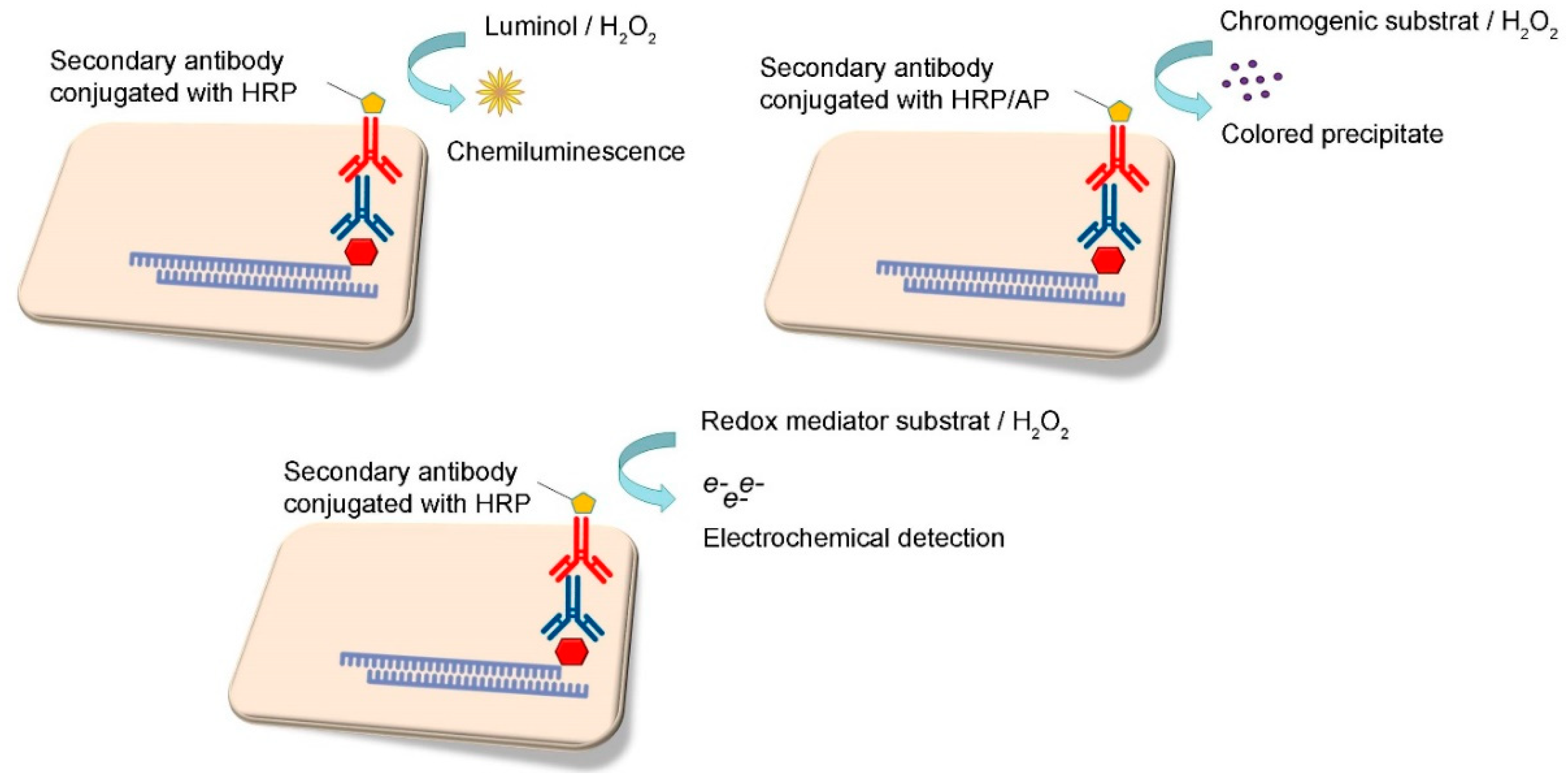 Sensors Free Full Text Point Of Need Dna Testing For - 