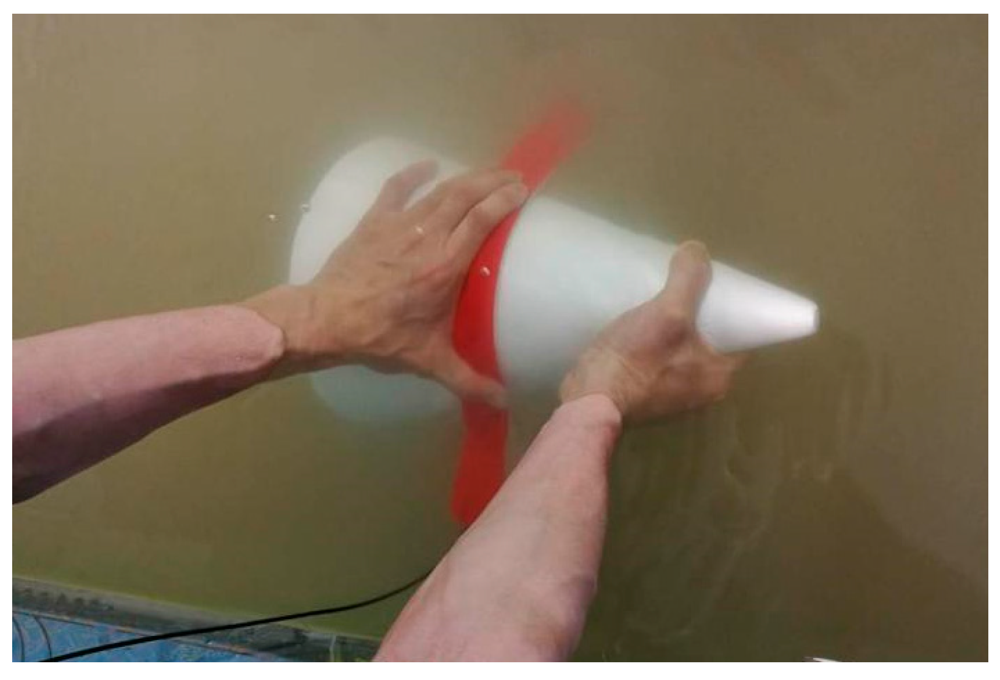 Sensors 19 01115 g013