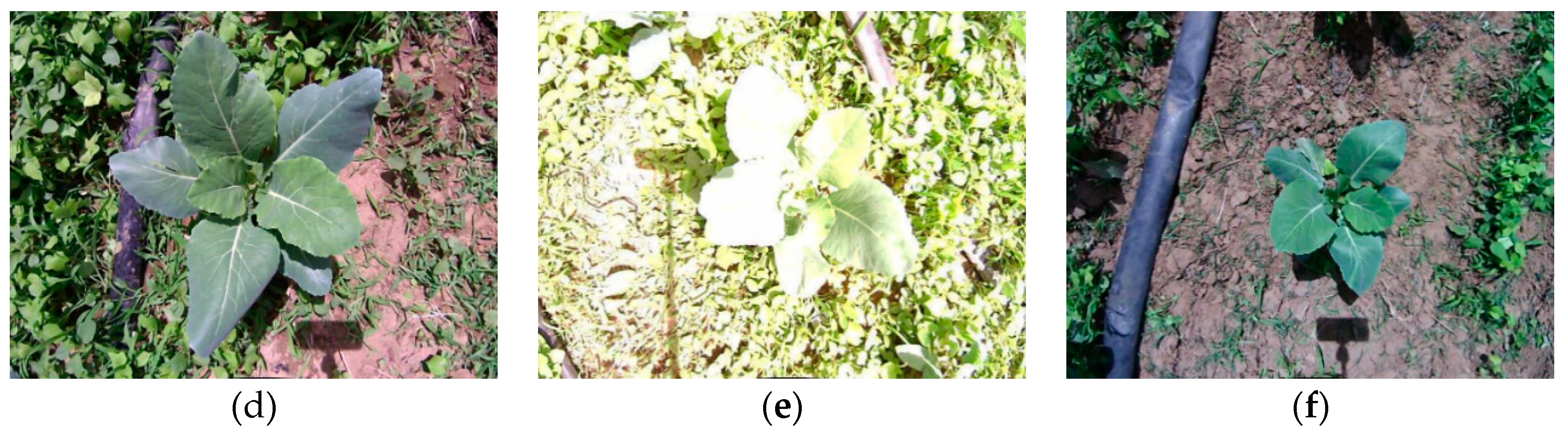 Sensors 19 01132 g003b