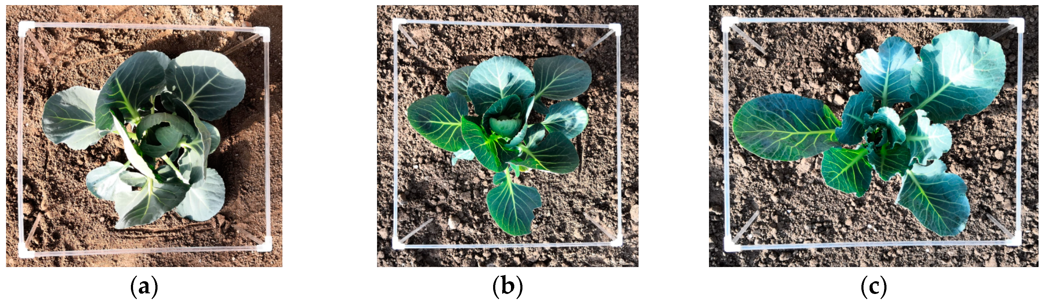 Sensors 19 01132 g010a