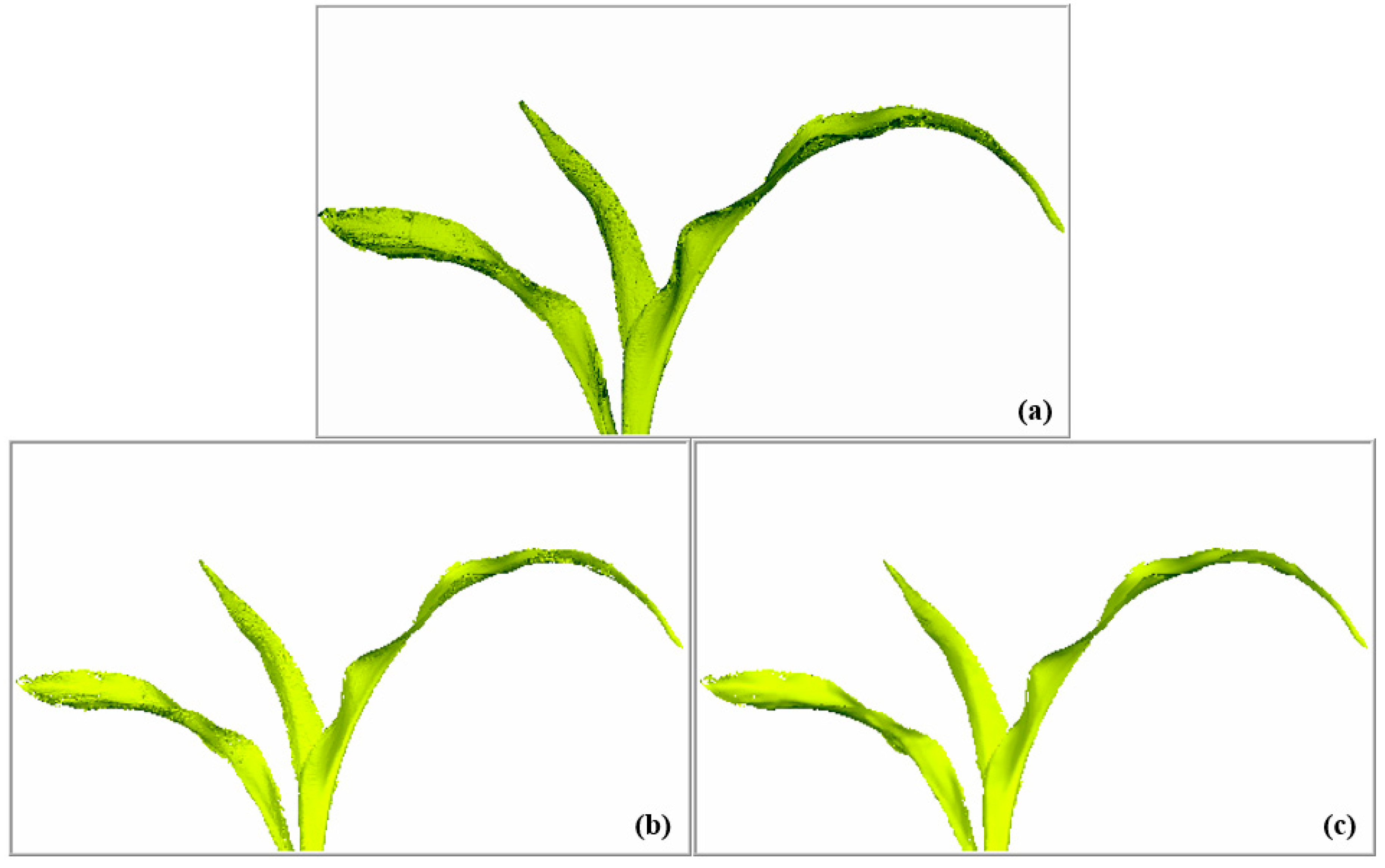 Sensors 19 01201 g011 Sensors 19 01201 g011