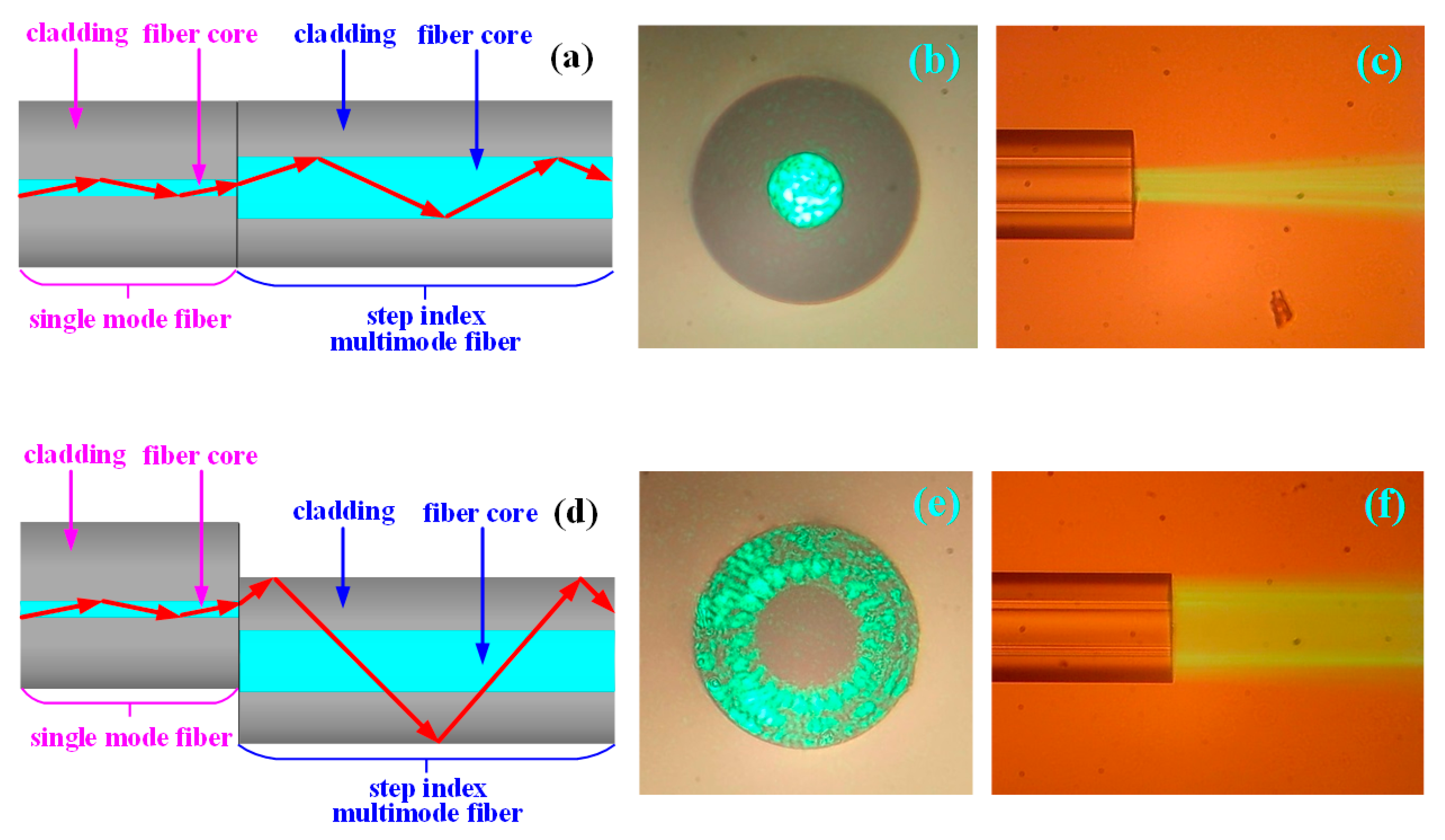 Sensors 19 01202 g003 Sensors 19 01202 g003