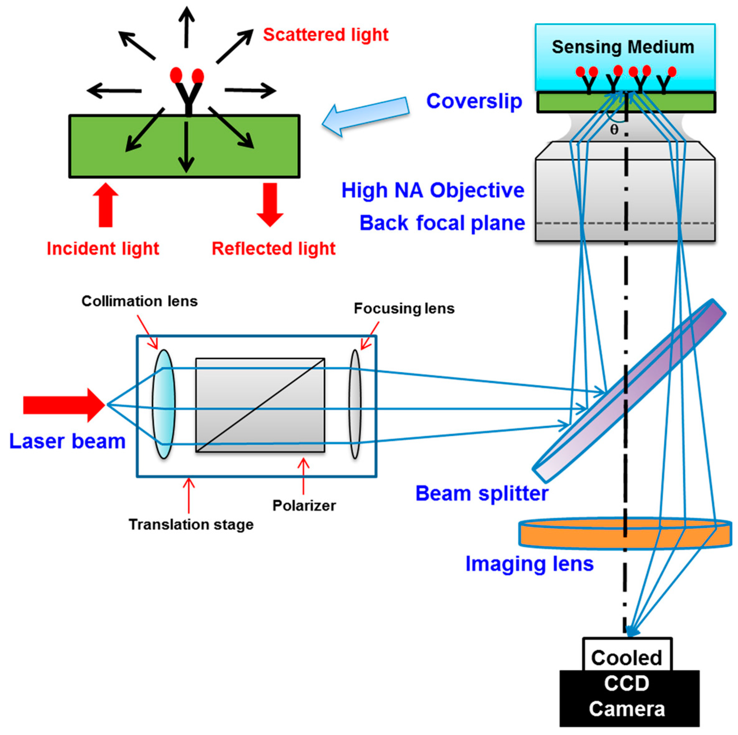 Sensors | Free Full-Text | Recent Advances in Surface Plasmon Resonance ...