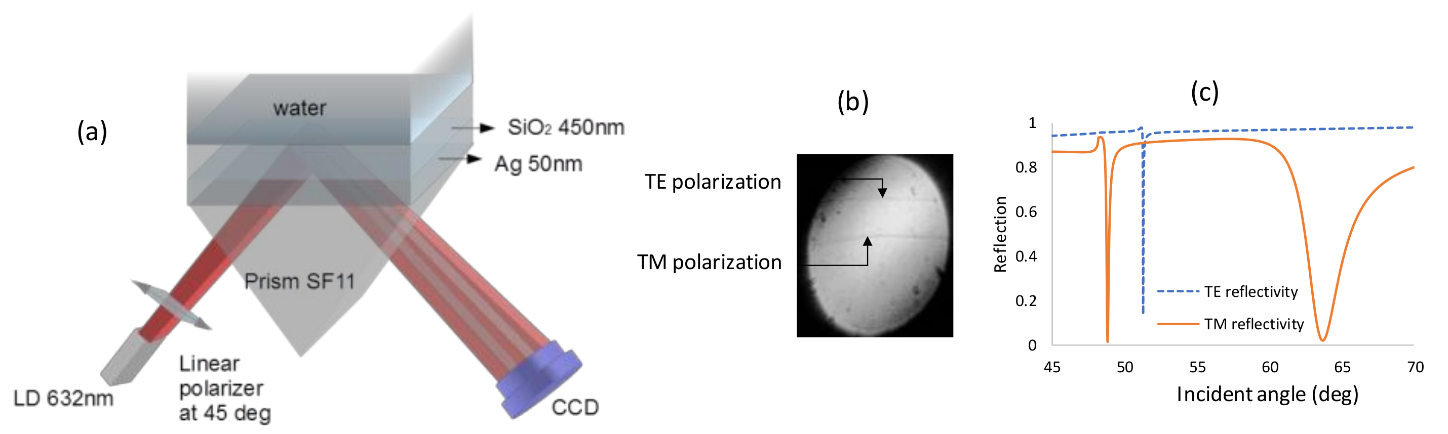 Sensors 19 01402 g001