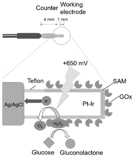 Sensors | Free Full-Text | Development Of A Novel Enhanced.