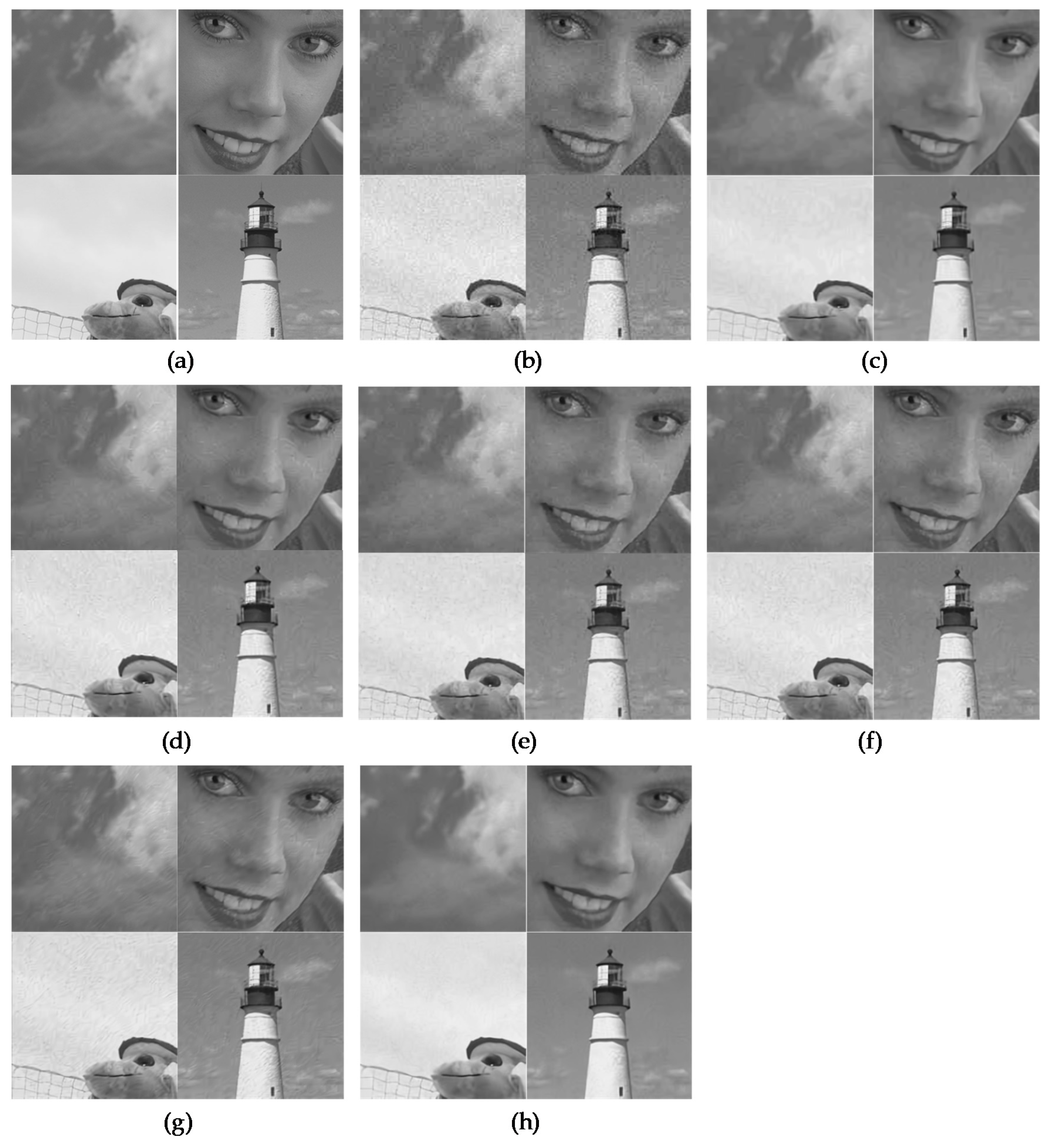 Sensors 19 01939 g007