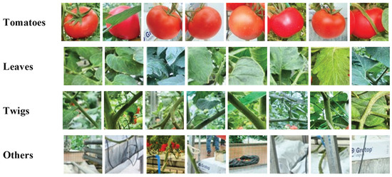 Sensors | Free Full-Text | A Mature-Tomato Detection Algorithm Using ...
