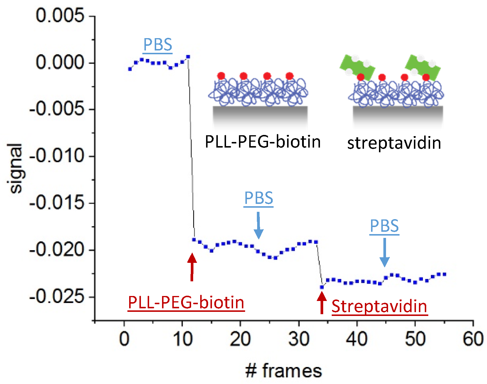 Sensors 19 02065 g009