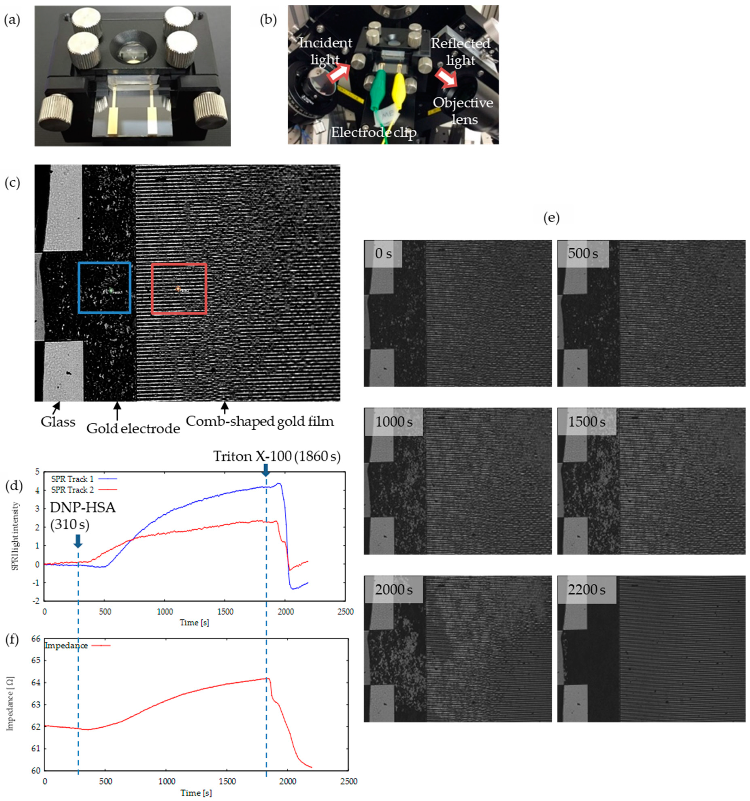 Sensors 19 02067 g004