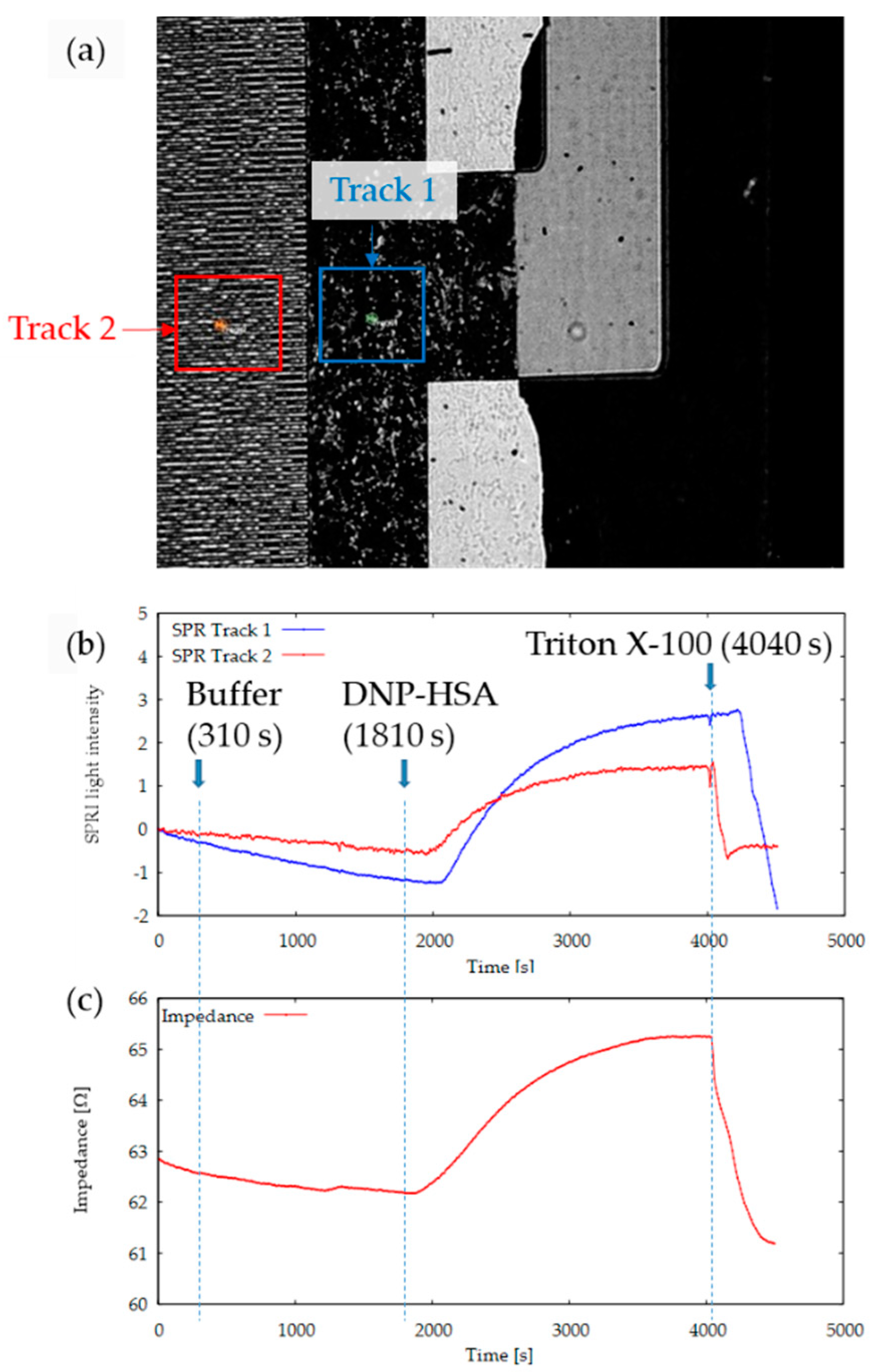 Sensors 19 02067 g0a2