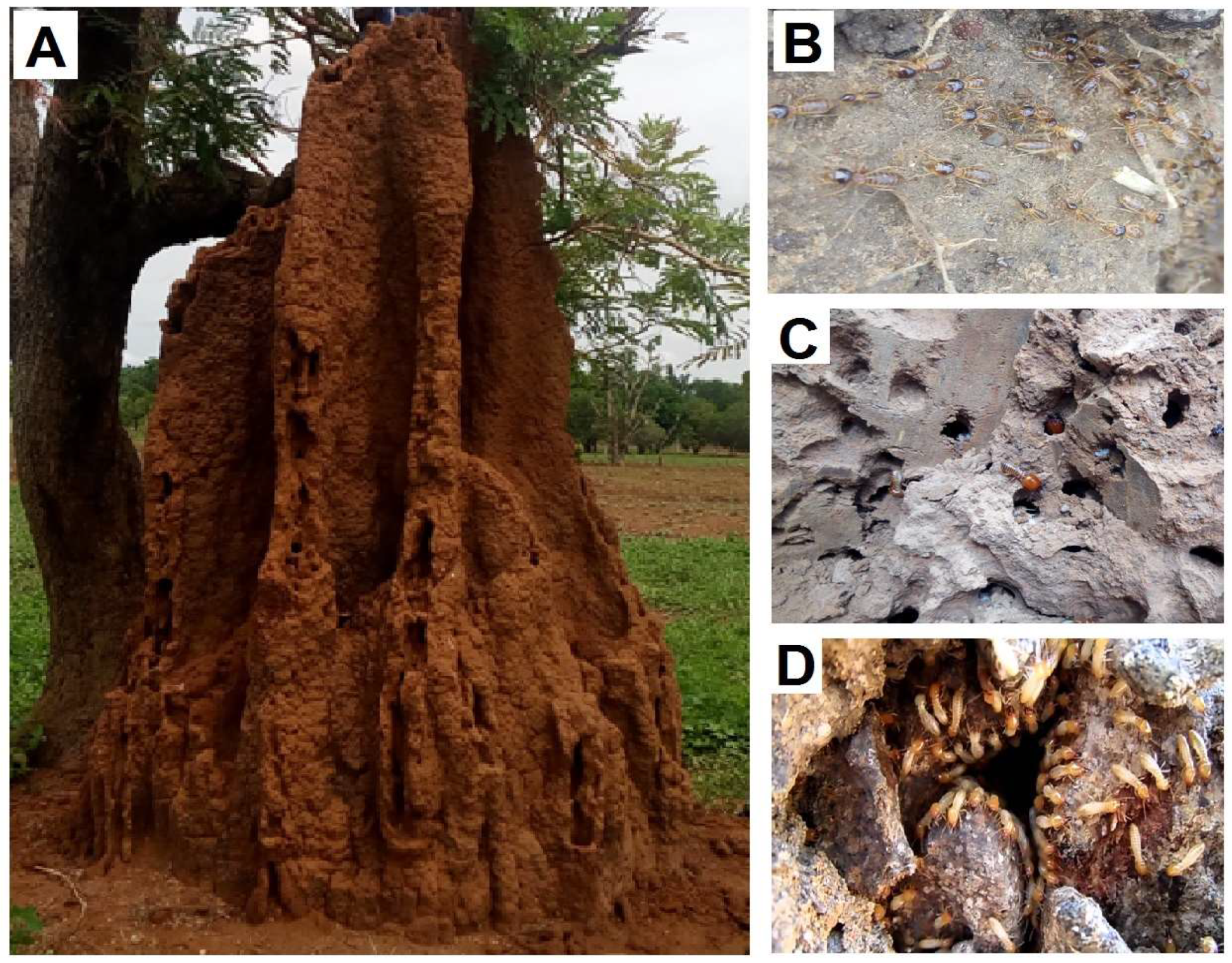Sensors 19 02107 g002 Sensors 19 02107 g002