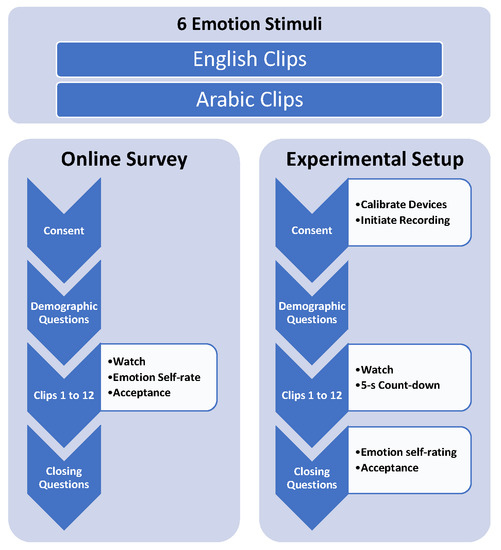 Sensors Free Full Text Evaluating And Validating Emotion Elicitation Using English And Arabic Movie Clips On A Saudi Sample Html