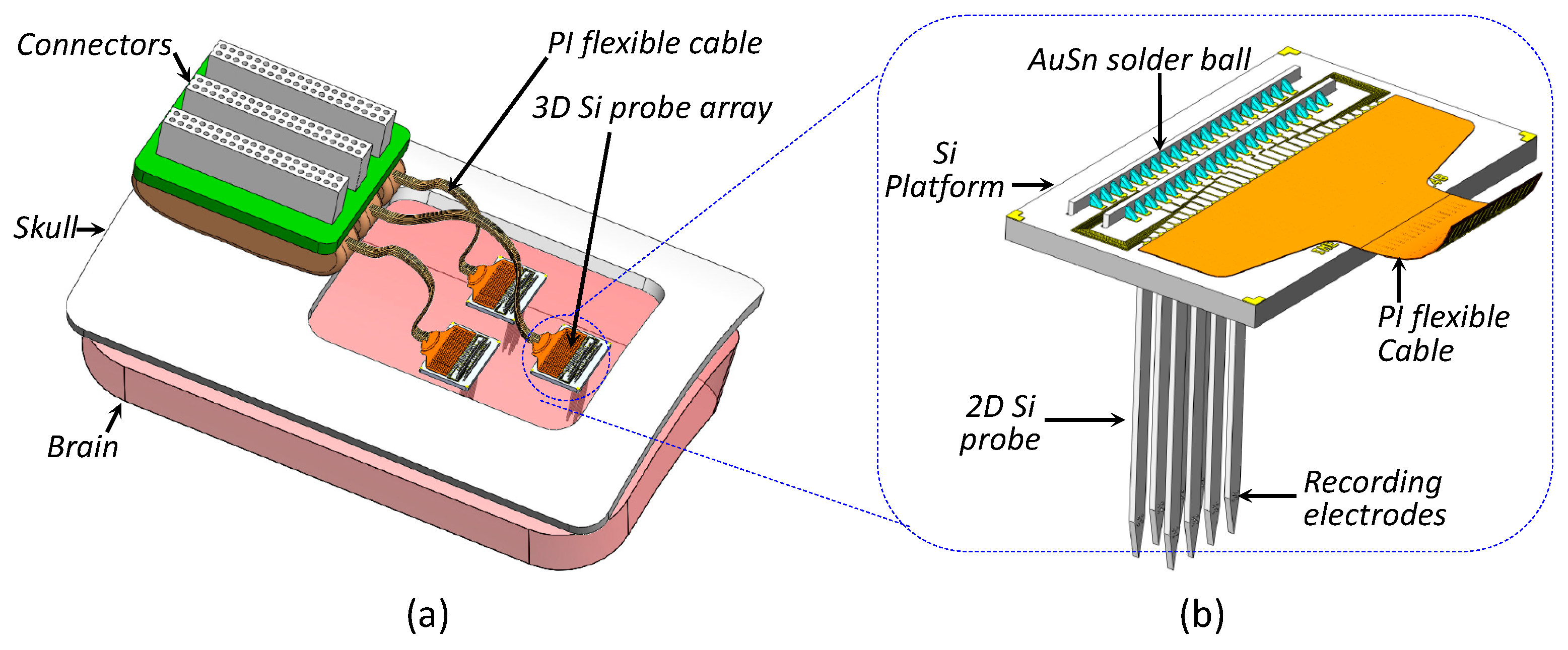 Sensors Free Full Text Ultracompact Multielectrode Array For Neurological Monitoring Html