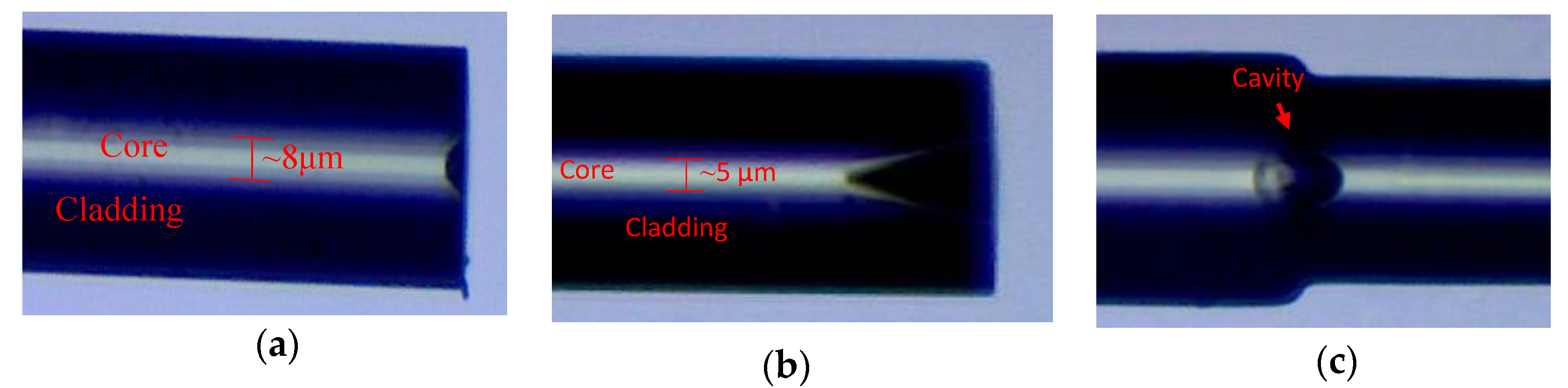 Sensors 19 02319 g003