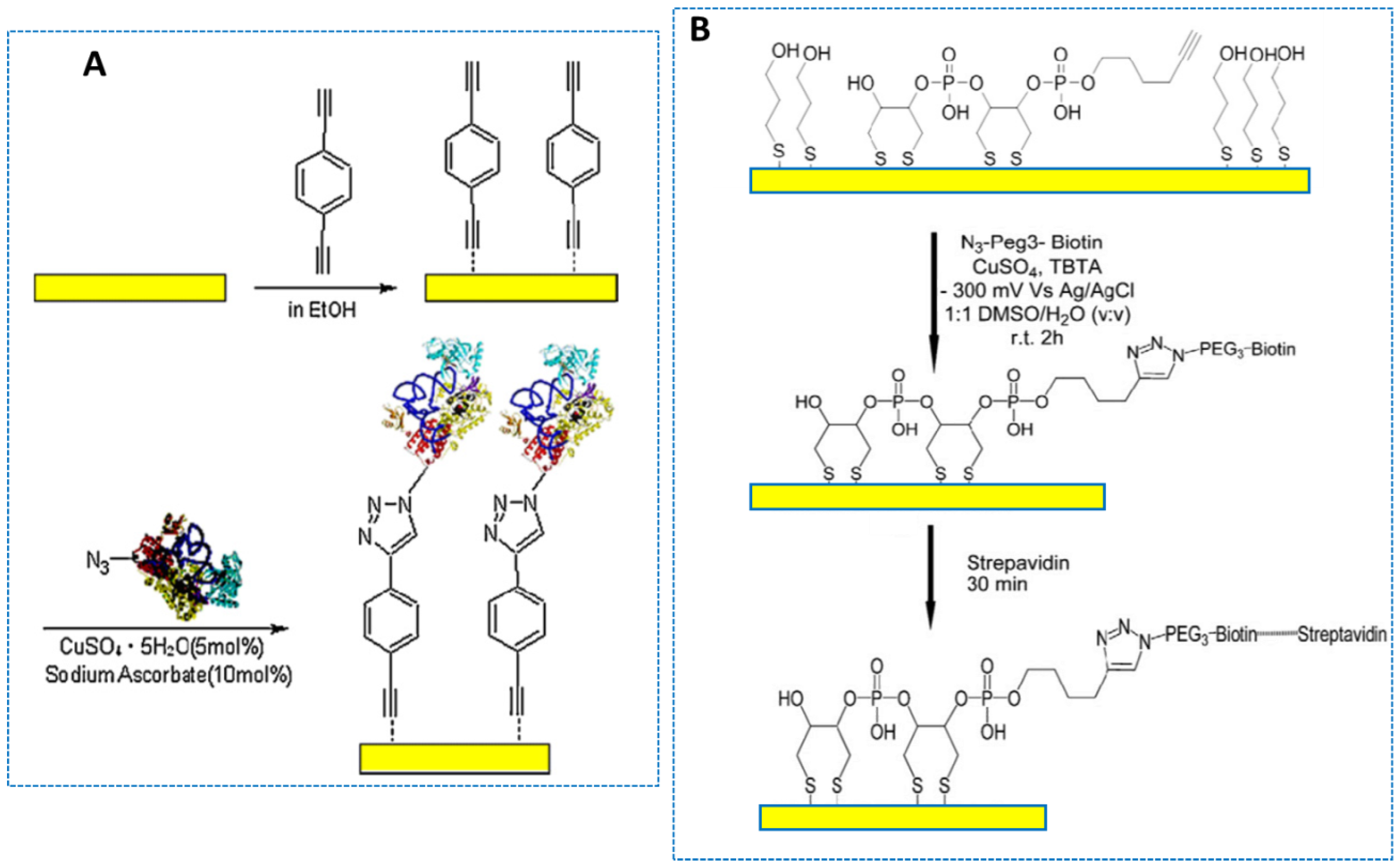 Sensors Free Full Text Copper I Catalyzed Click Chemistry As A Tool For The Functionalization Of Nanomaterials And The Preparation Of Electrochemical Bio Sensors Html