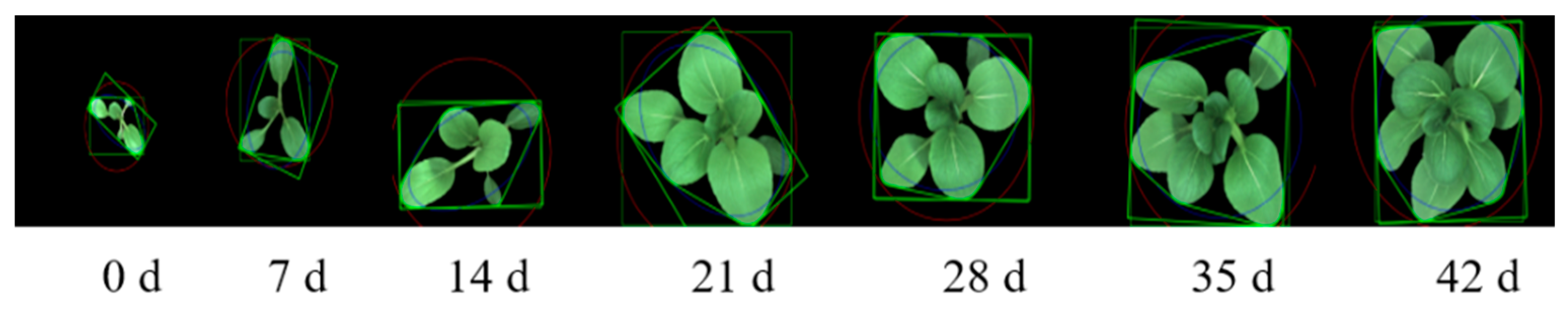 Sensors 19 02448 g003