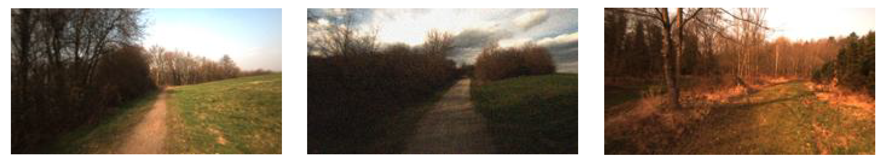 Sensors 19 02577 g005