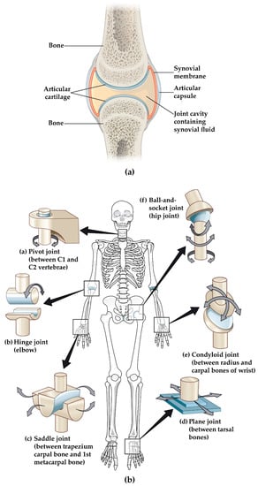 Sensors | Free Full-Text | Monitoring Methods of Human Body Joints