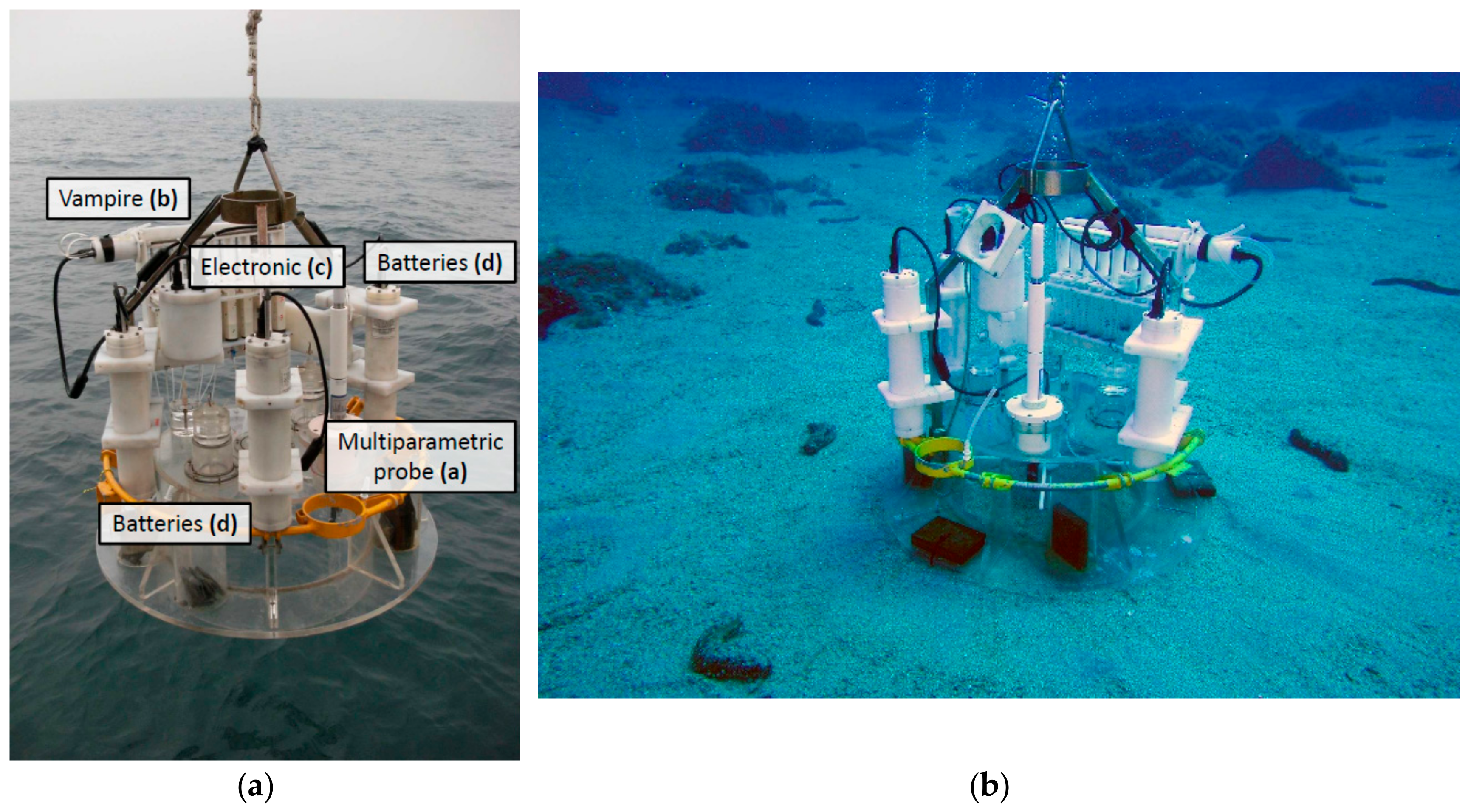 Sensors 19 02632 g014