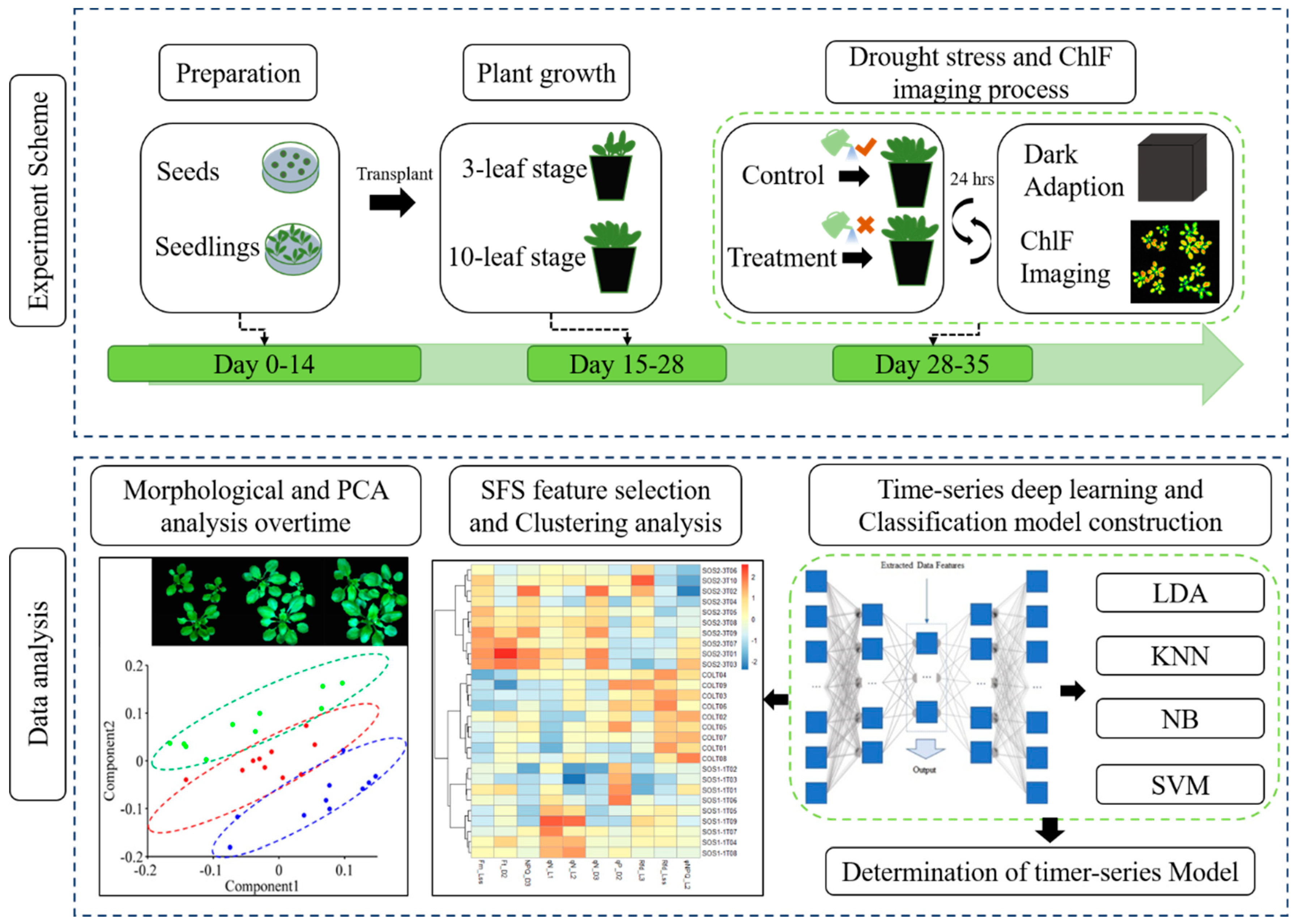 MONITORING-PAM Chlorophyll Fluorometer