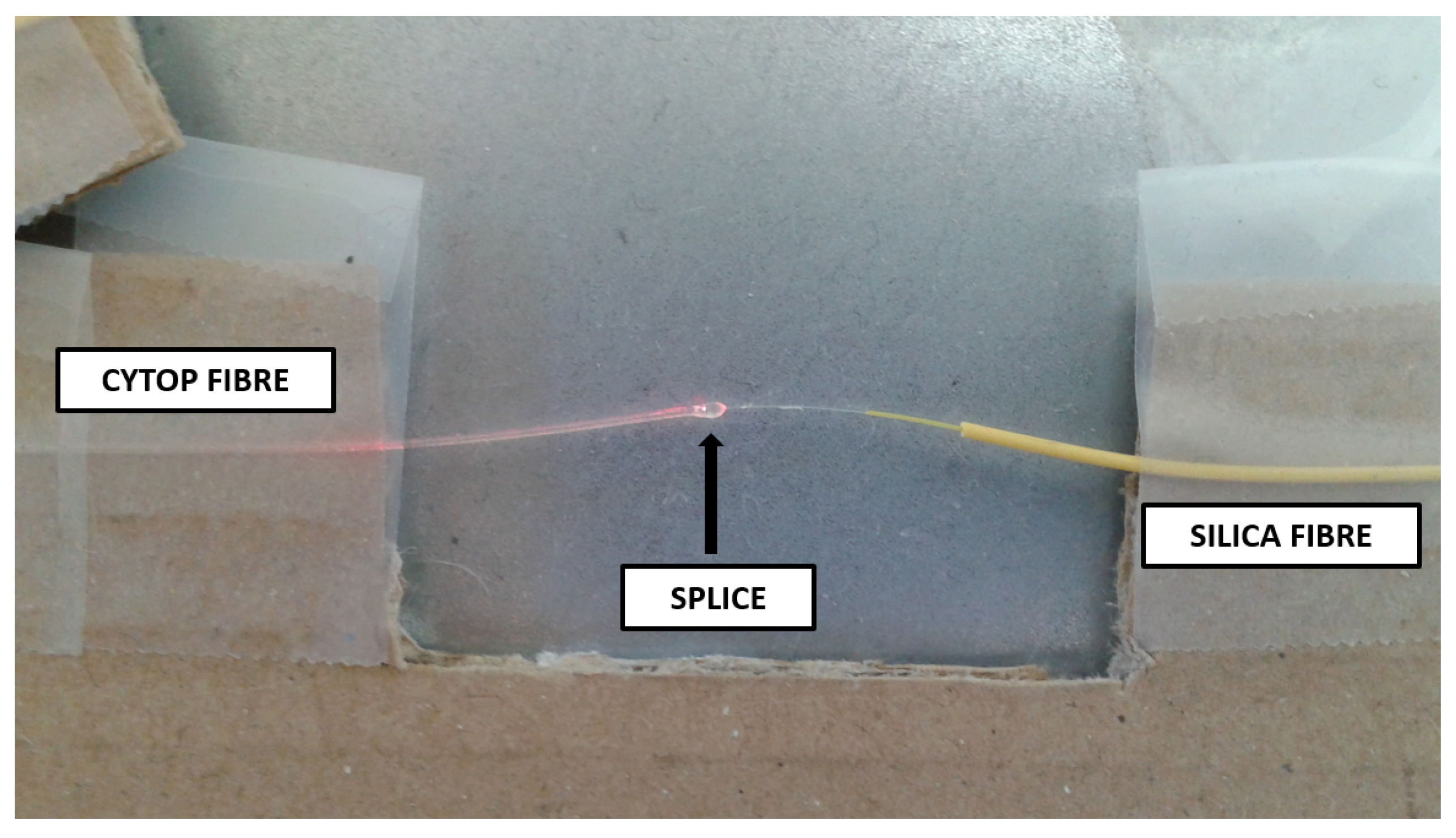 Sensors 19 02853 g003