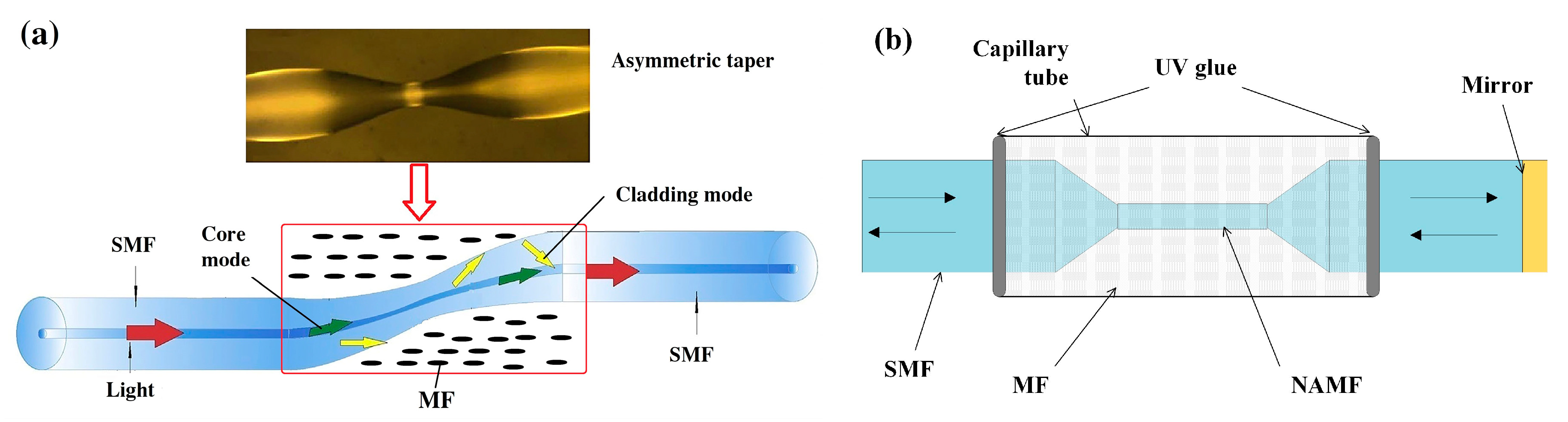 Sensors 19 02860 g008