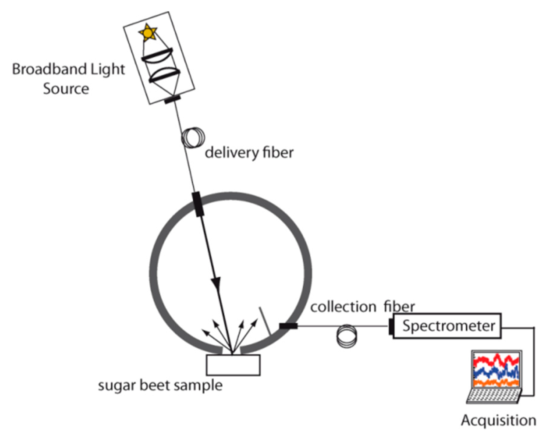 Optical Fiber Spectroscopy