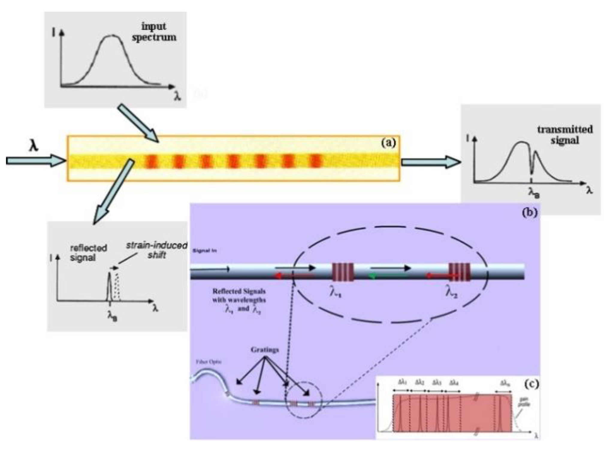 Sensors 19 03419 g001 Sensors 19 03419 g001