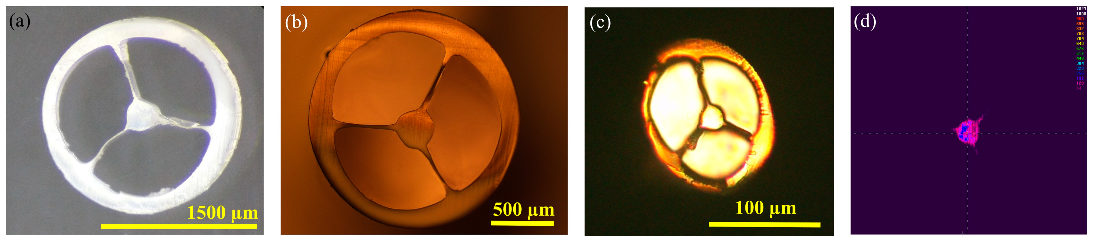 Sensors 19 03449 g010