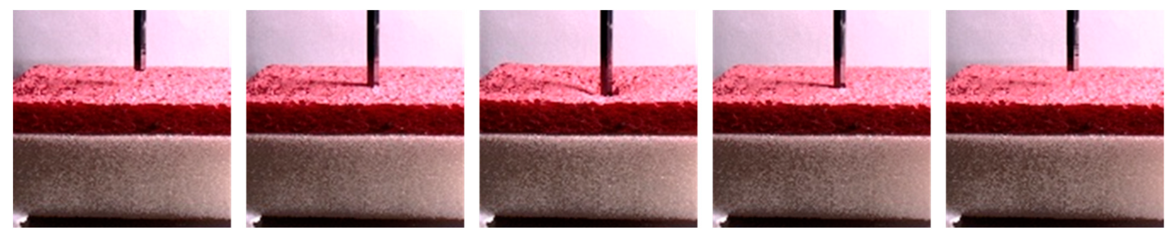 Sensors 19 03579 g013