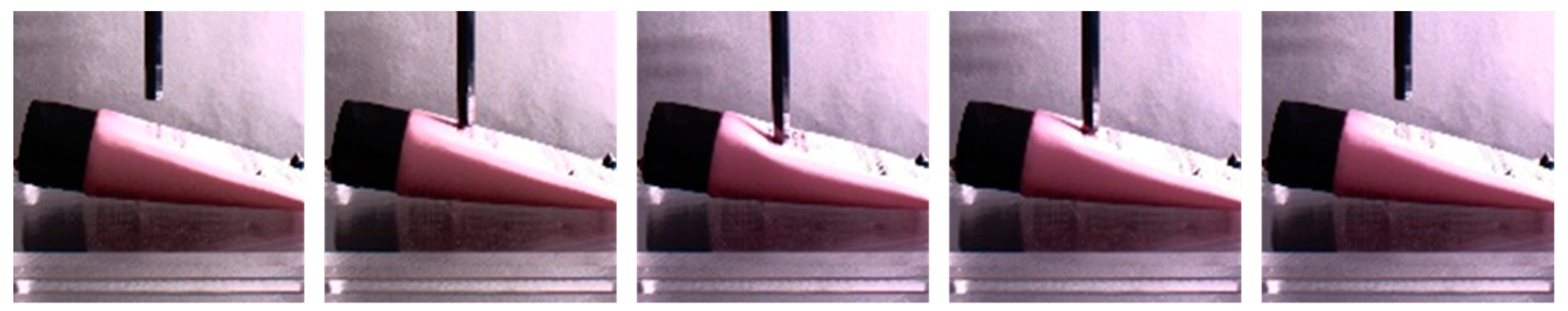 Sensors 19 03579 g019