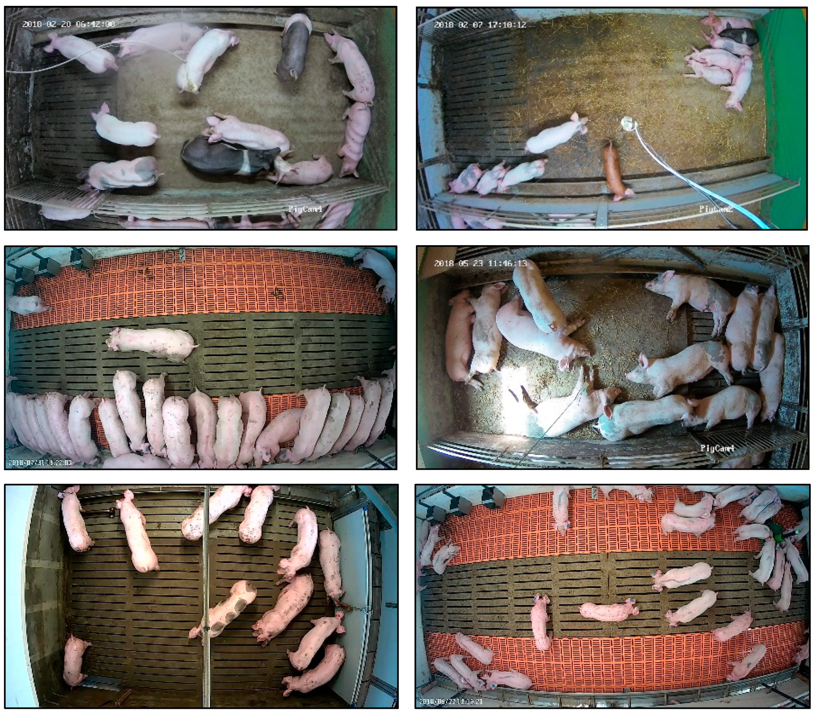 Sensors 19 03738 g001 Sensors 19 03738 g001