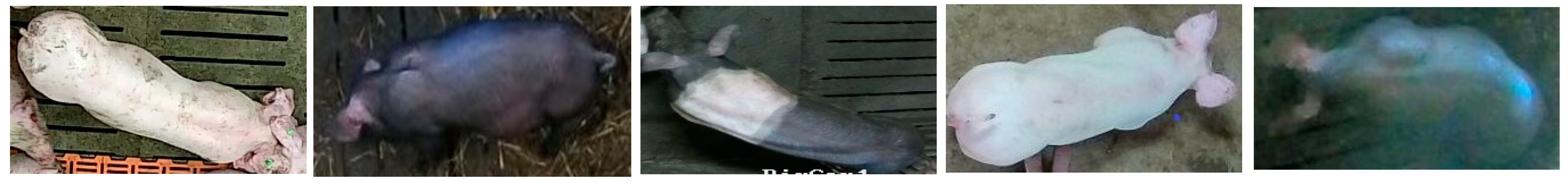 Sensors 19 03738 g008 Sensors 19 03738 g008