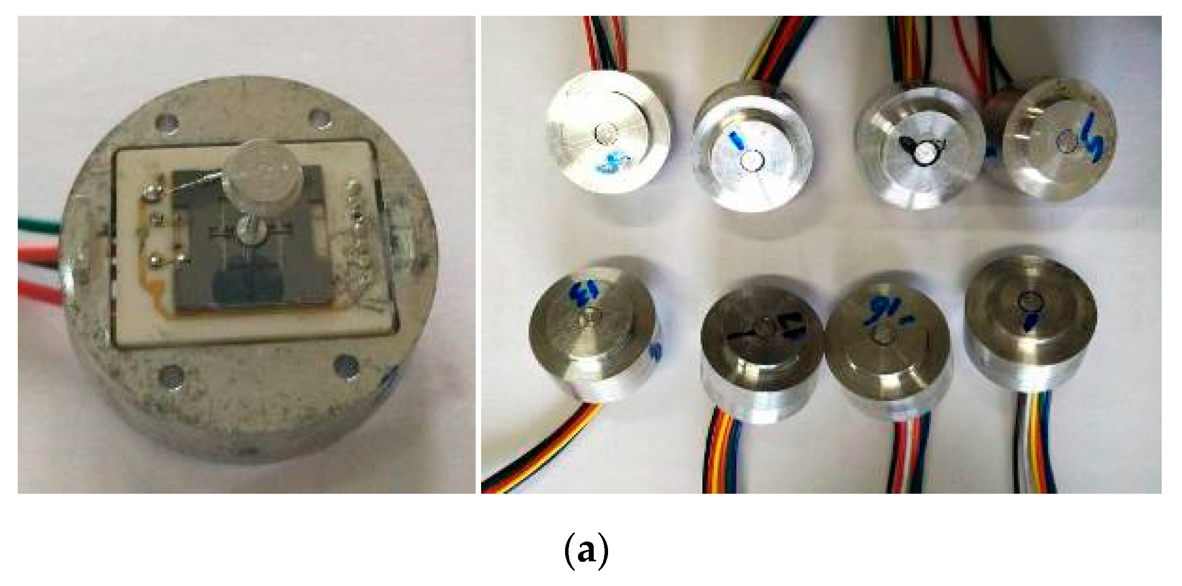 Sensors | Free Full-Text | Fabrication and Hypersonic Wind Tunnel  Validation of a MEMS Skin Friction Sensor Based on Visual Alignment  Technology | HTML