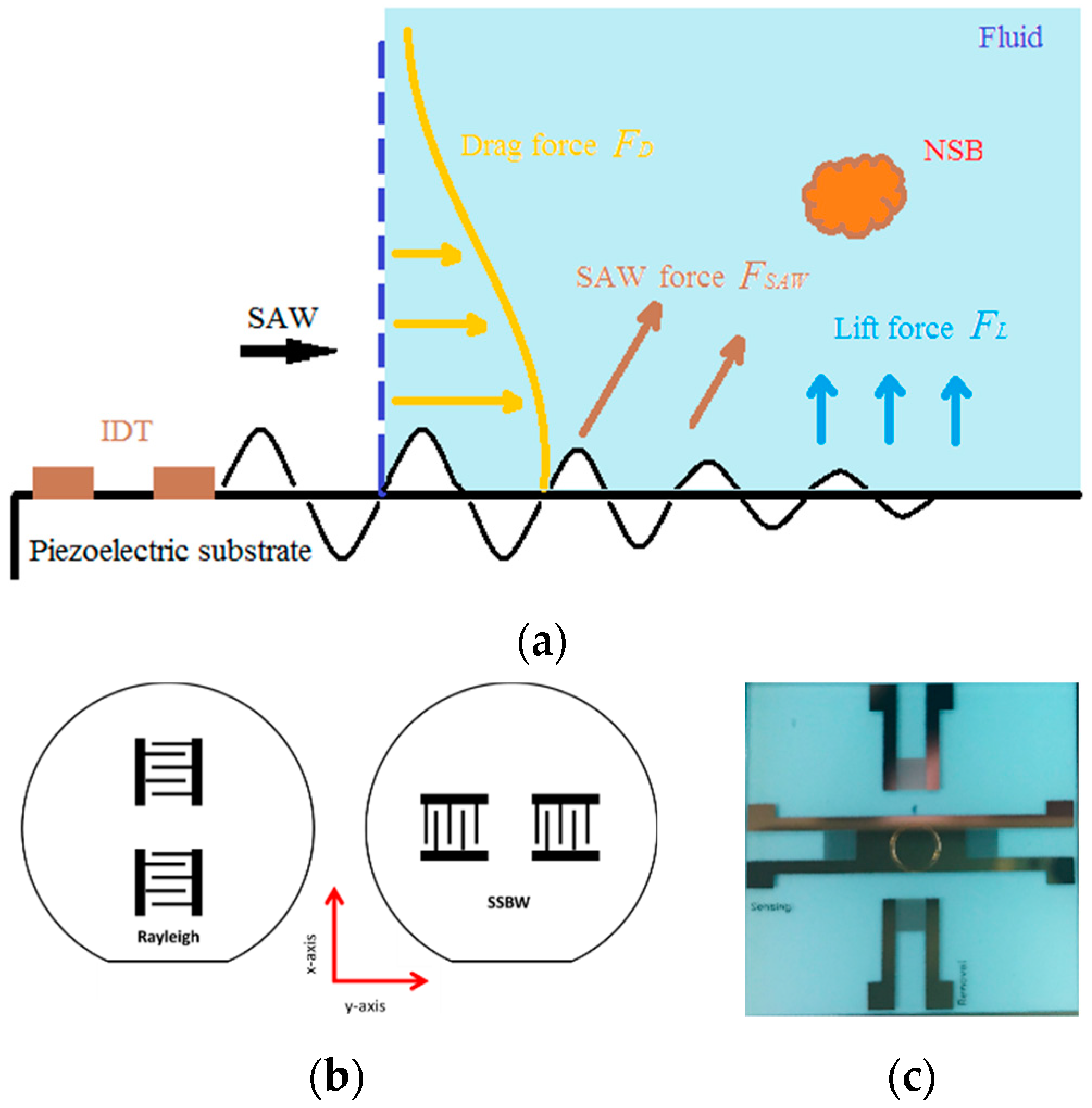 Sensors Free Full Text Design Of A Portable Orthogonal Surface Acoustic Wave Sensor System