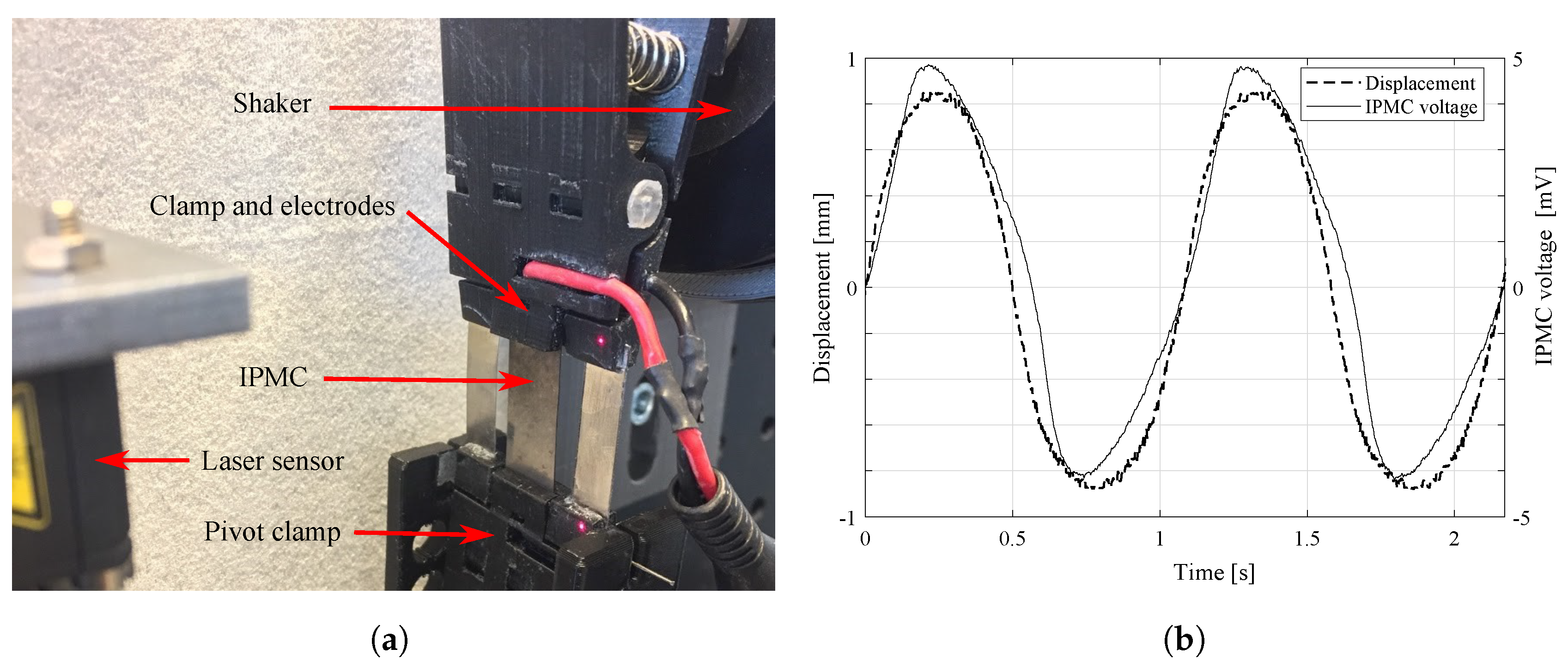 Fixed-free Bending Configuration of an IPMC Actuator for an Input